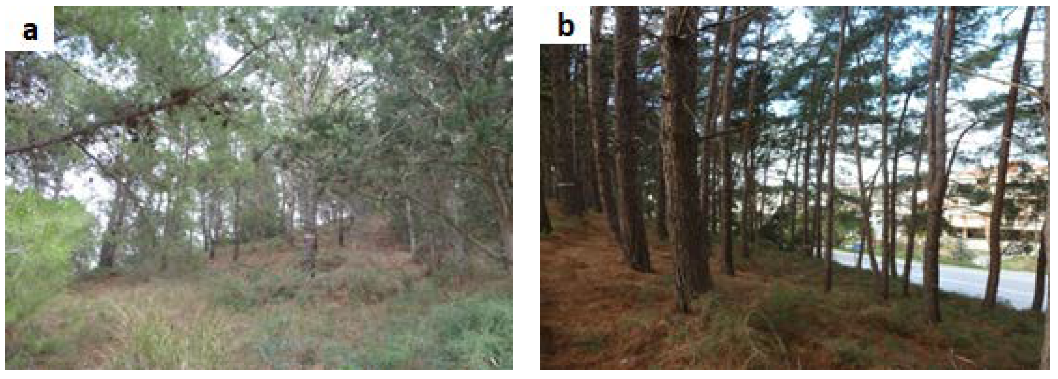 Environments 05 00079 g004