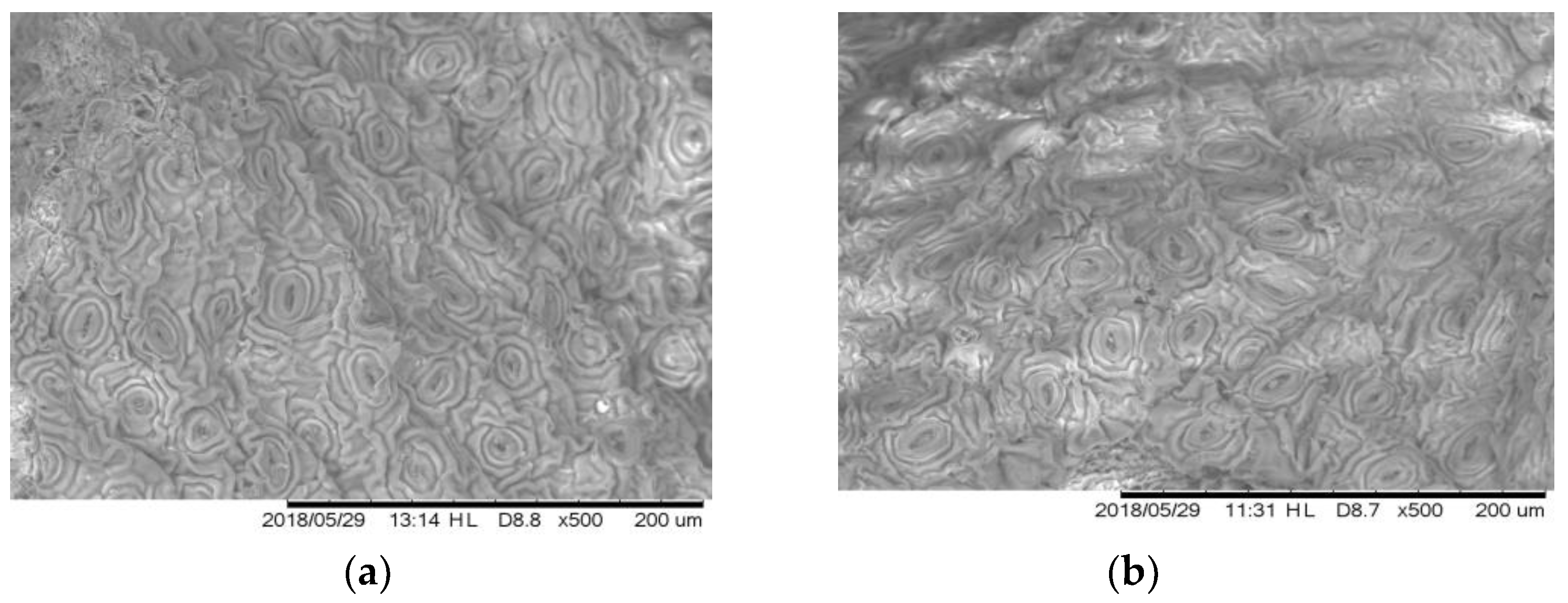 Environments 05 00100 g009