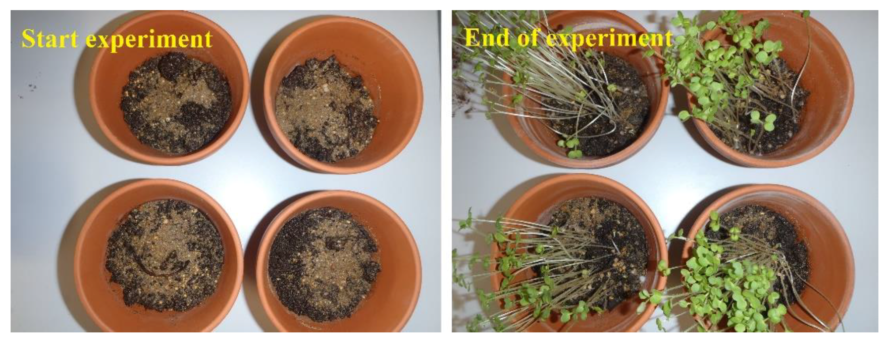 Environments 05 00111 g004