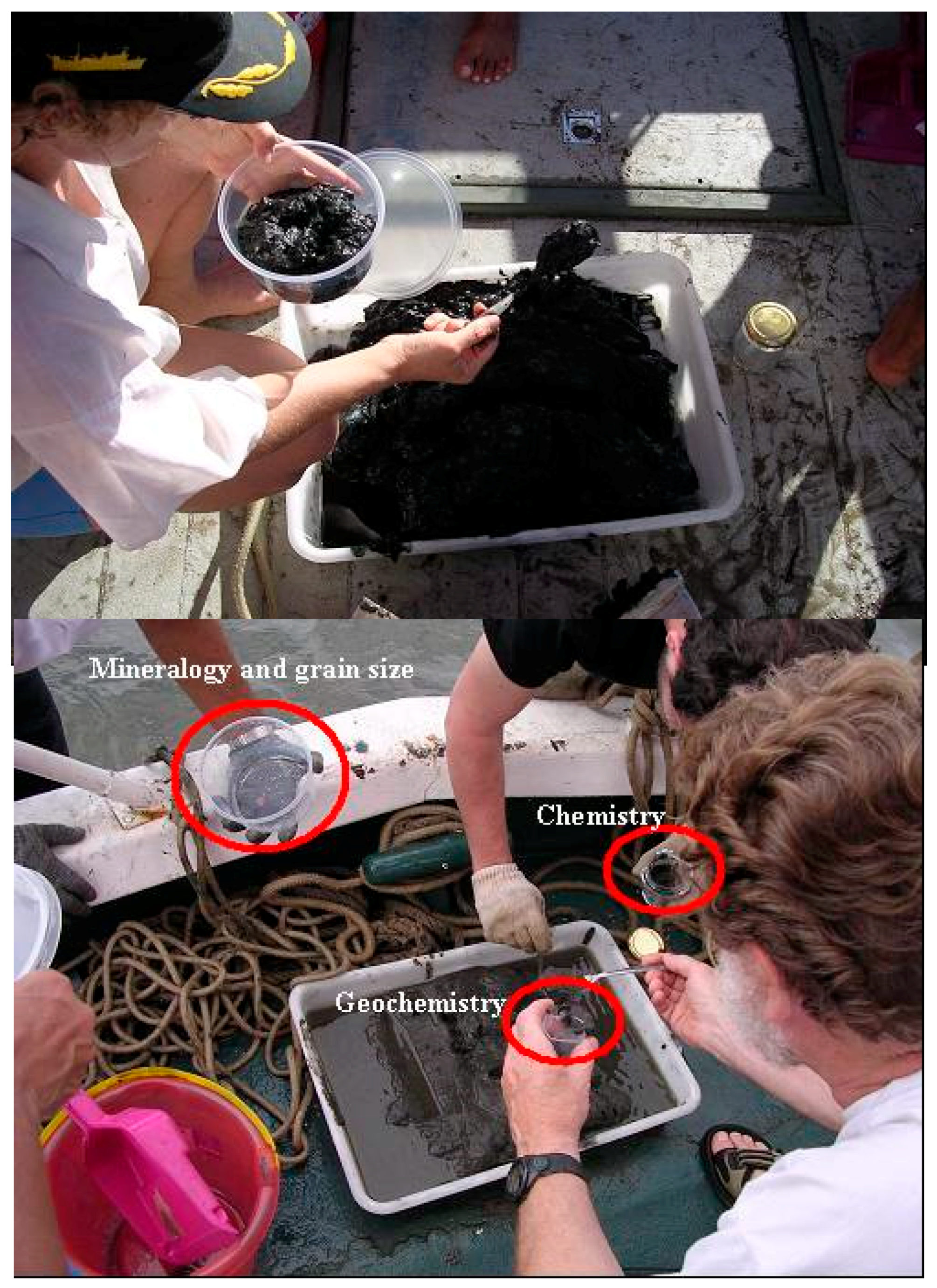 Environments 05 00139 g003