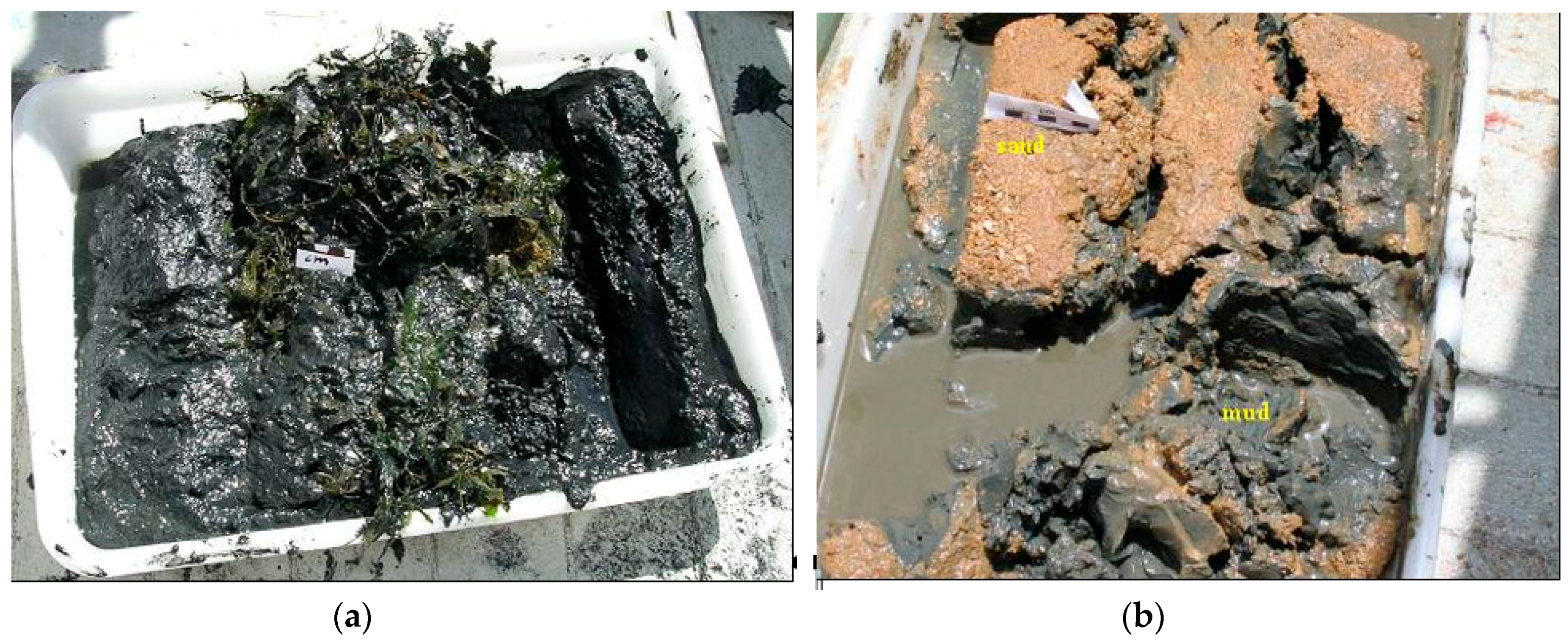 Environments 05 00139 g004