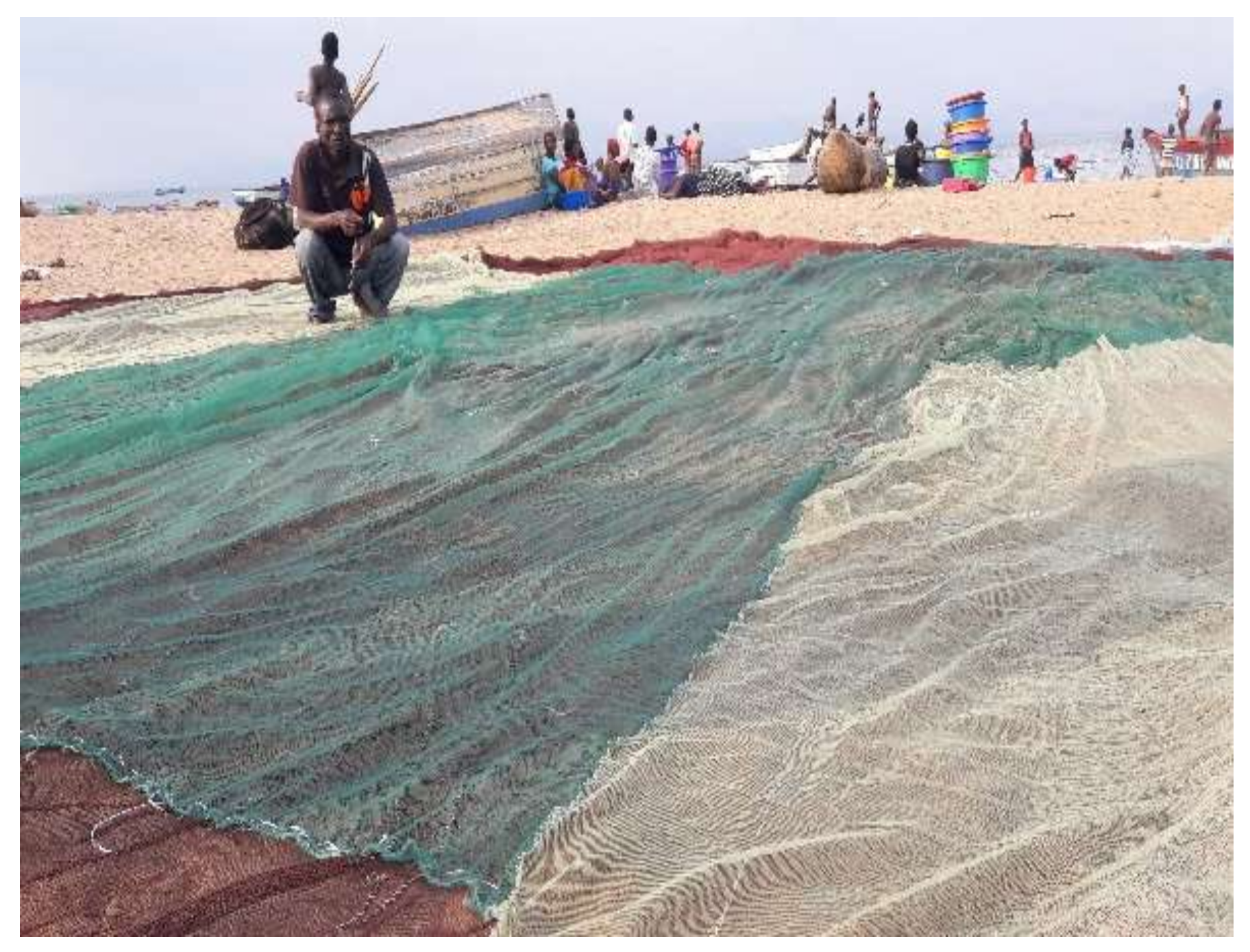 Environments 06 00003 g002