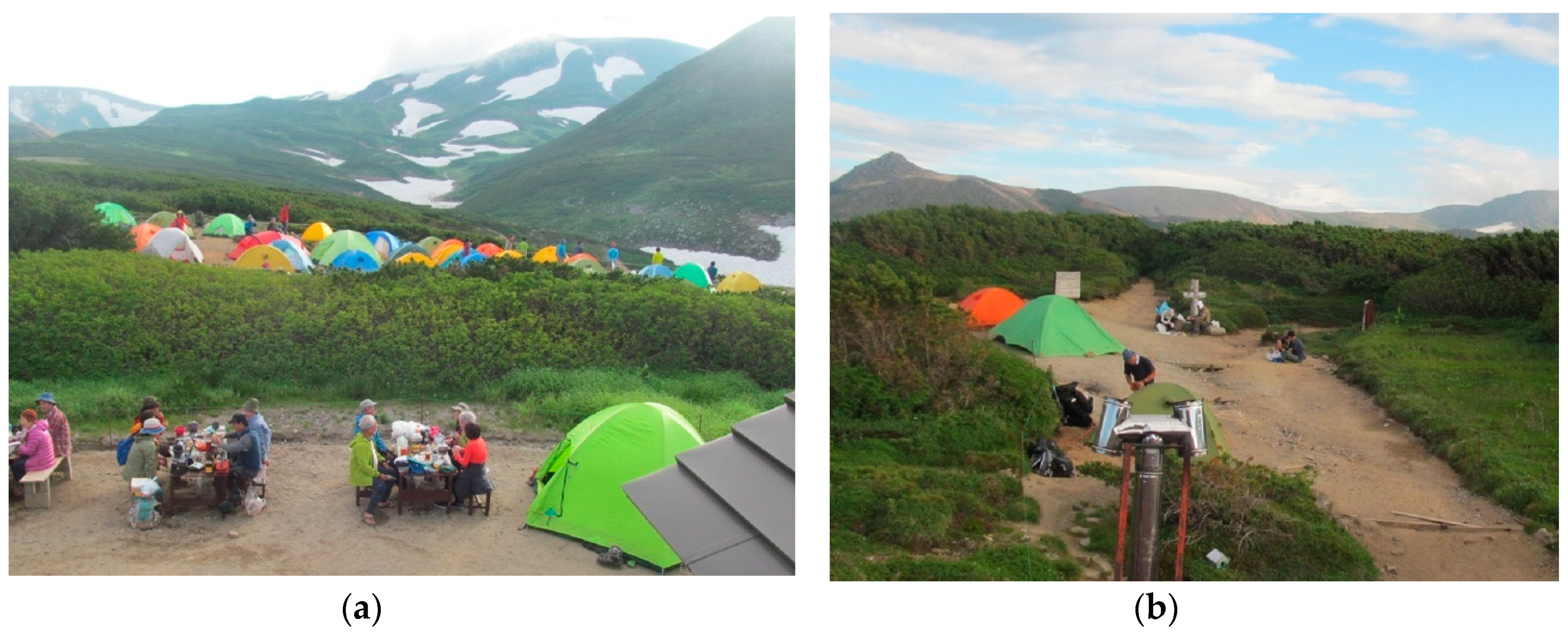 Environments 06 00034 g003