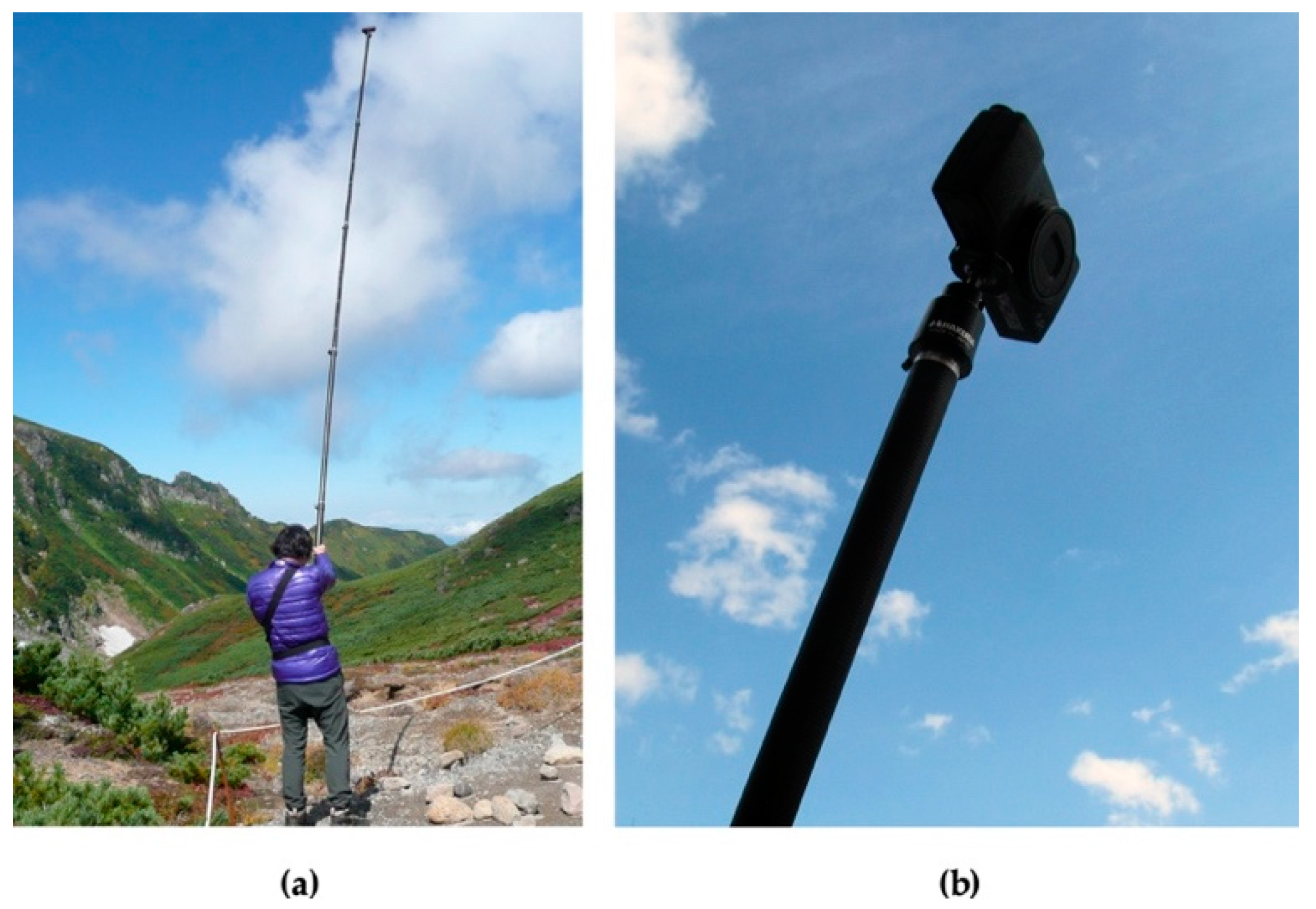 Environments 06 00034 g004