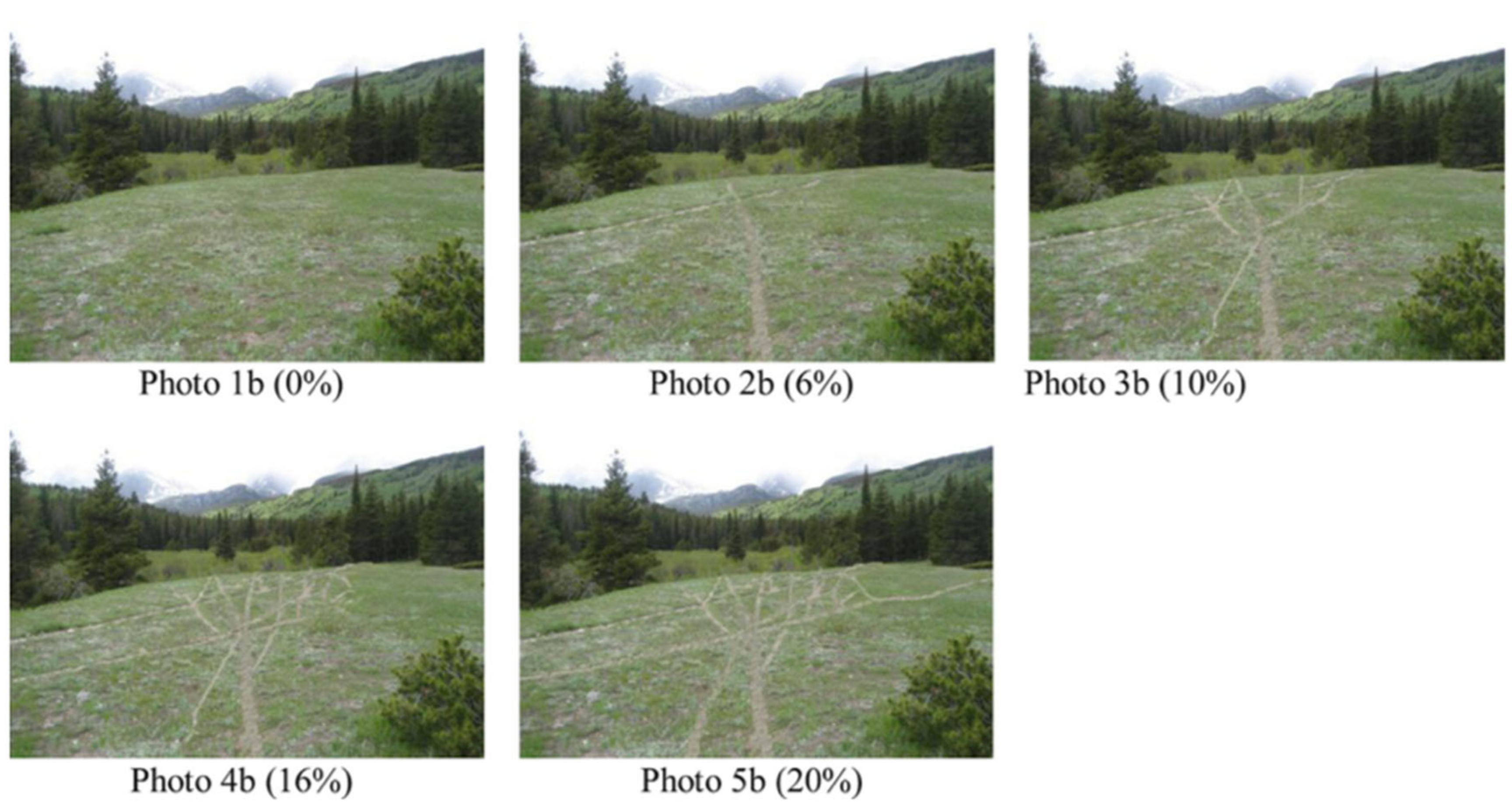 Environments 06 00043 g001