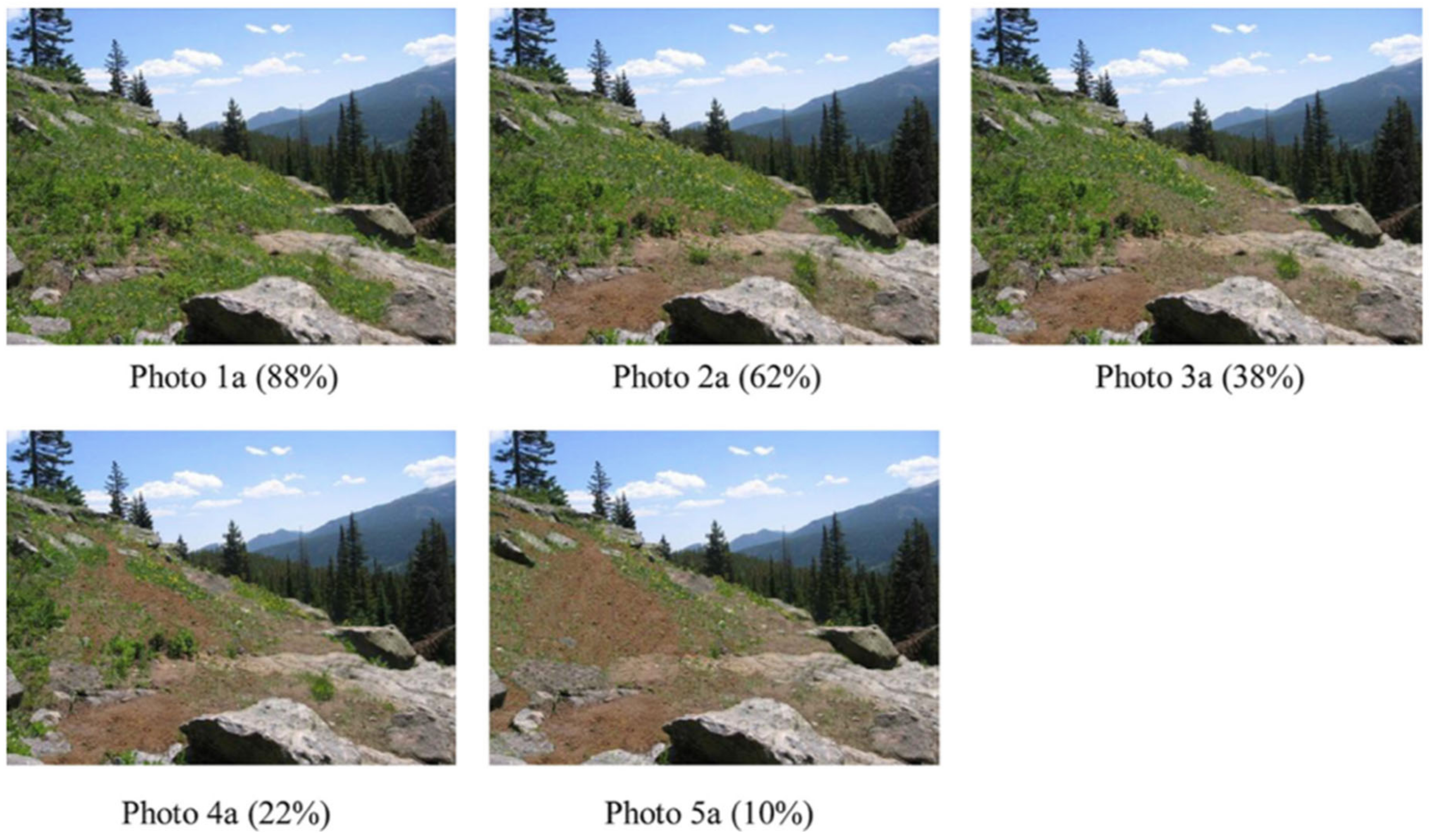 Environments 06 00043 g002