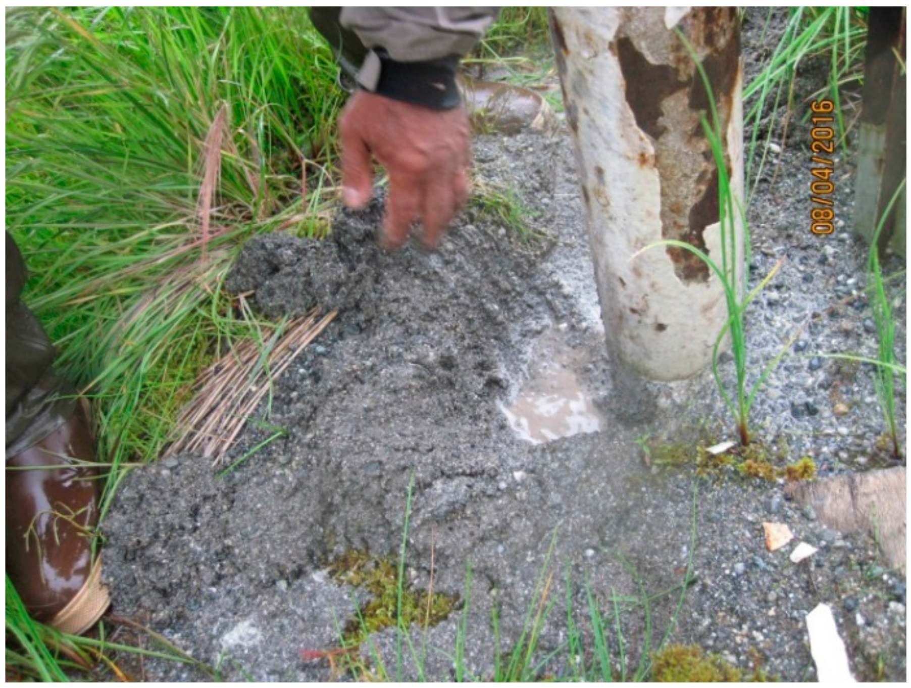 Environments 06 00084 g006