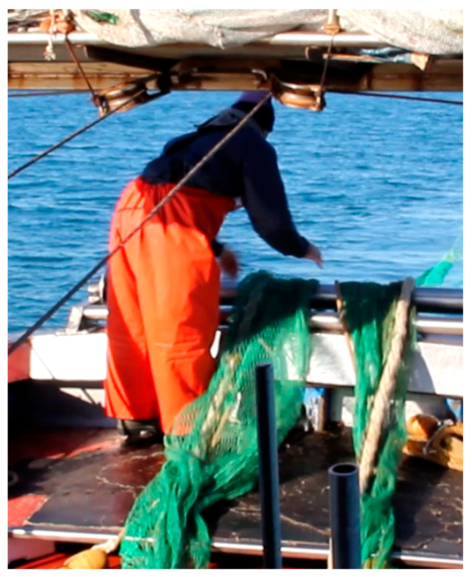 Environments 06 00127 g001