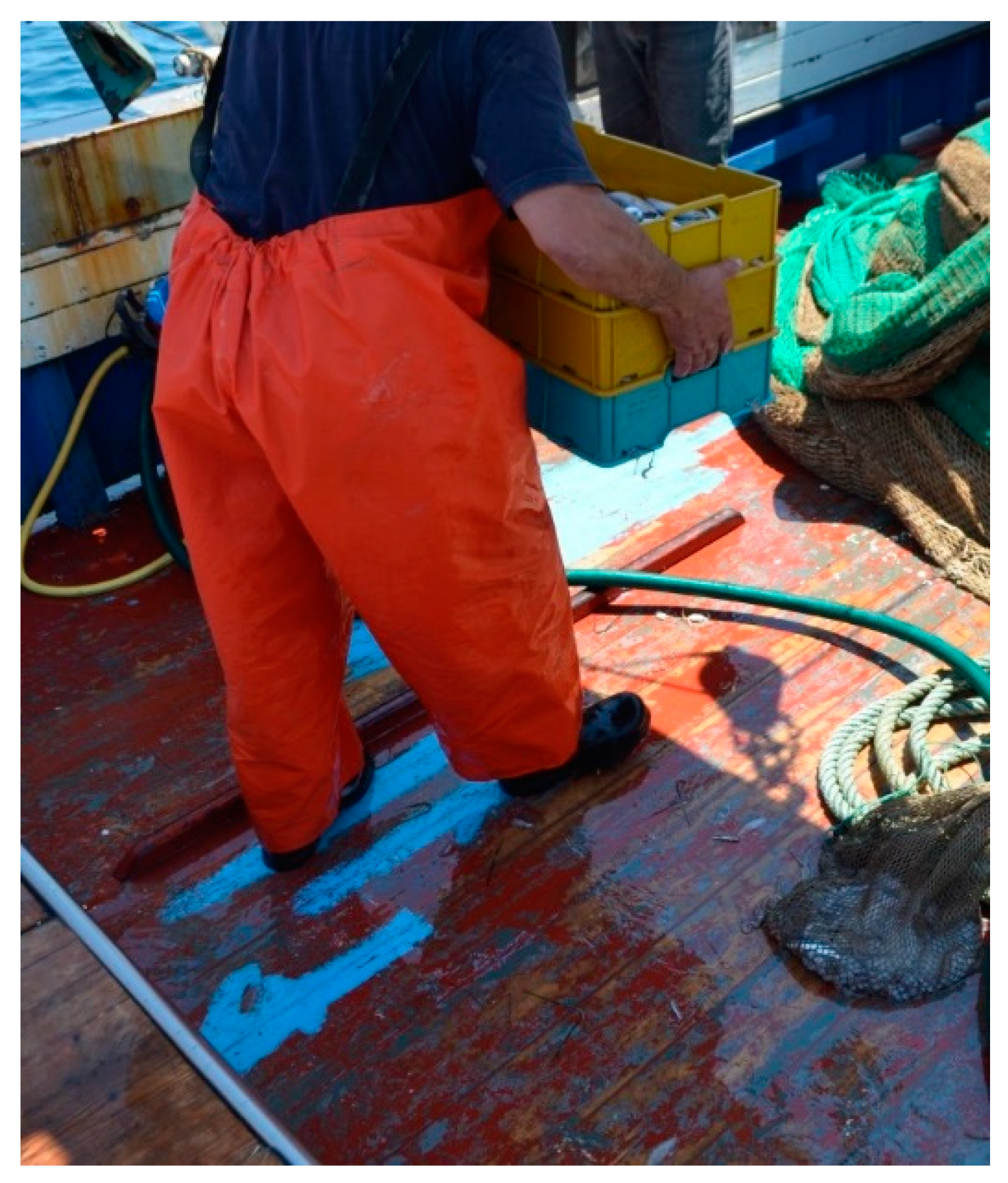 Environments 06 00127 g002