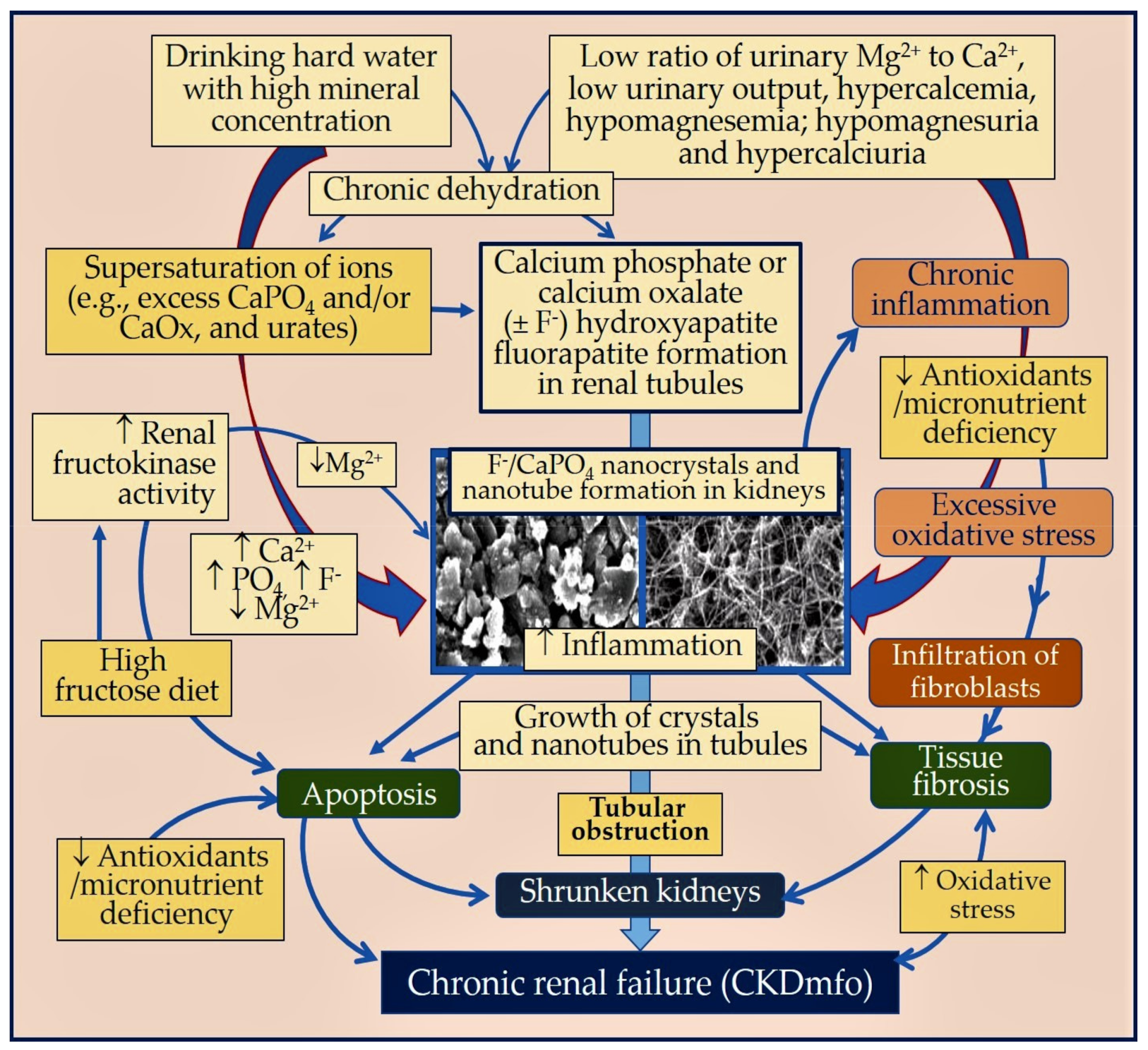 Environments 07 00002 g006