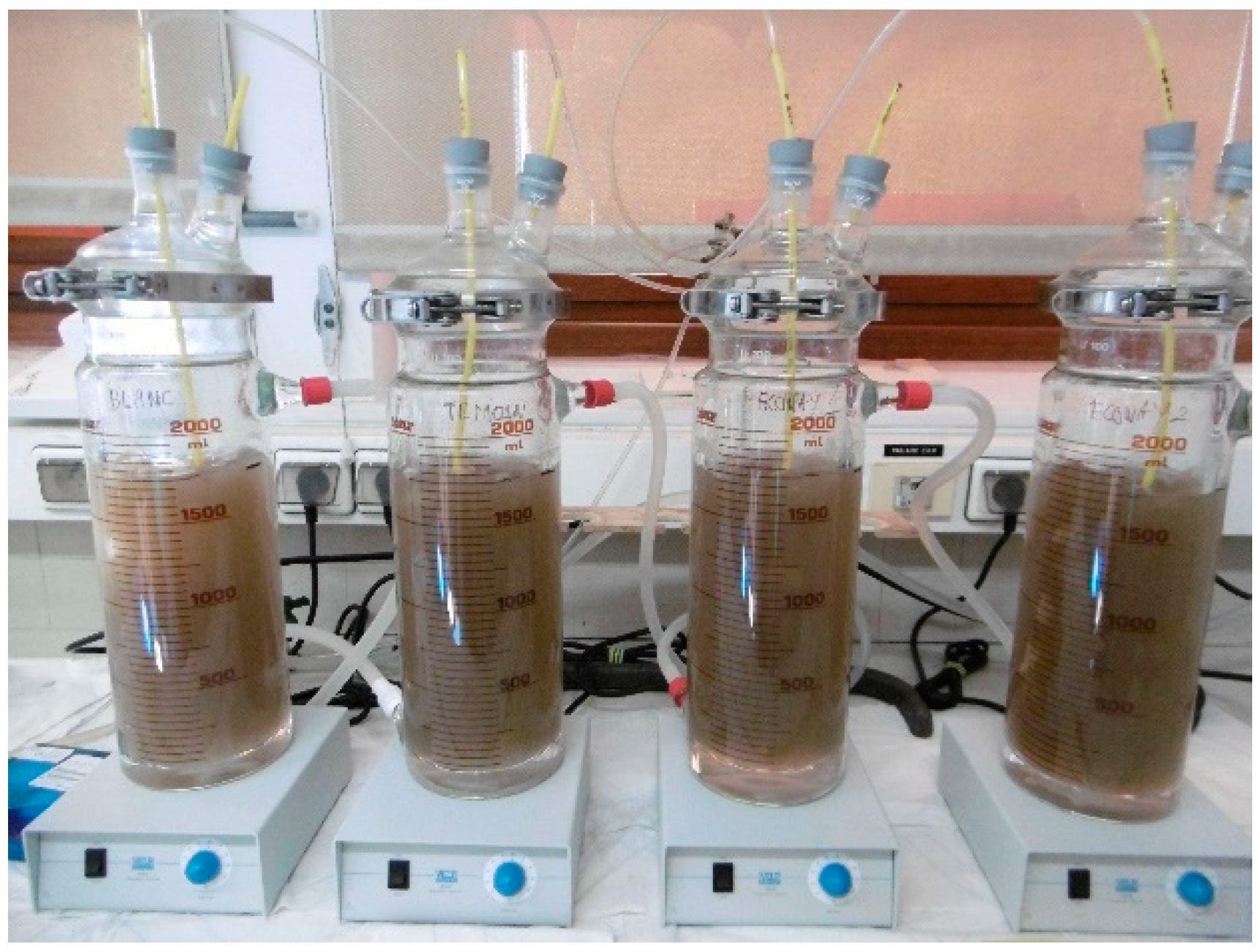 Environments 07 00004 g002 Environments 07 00004 g002