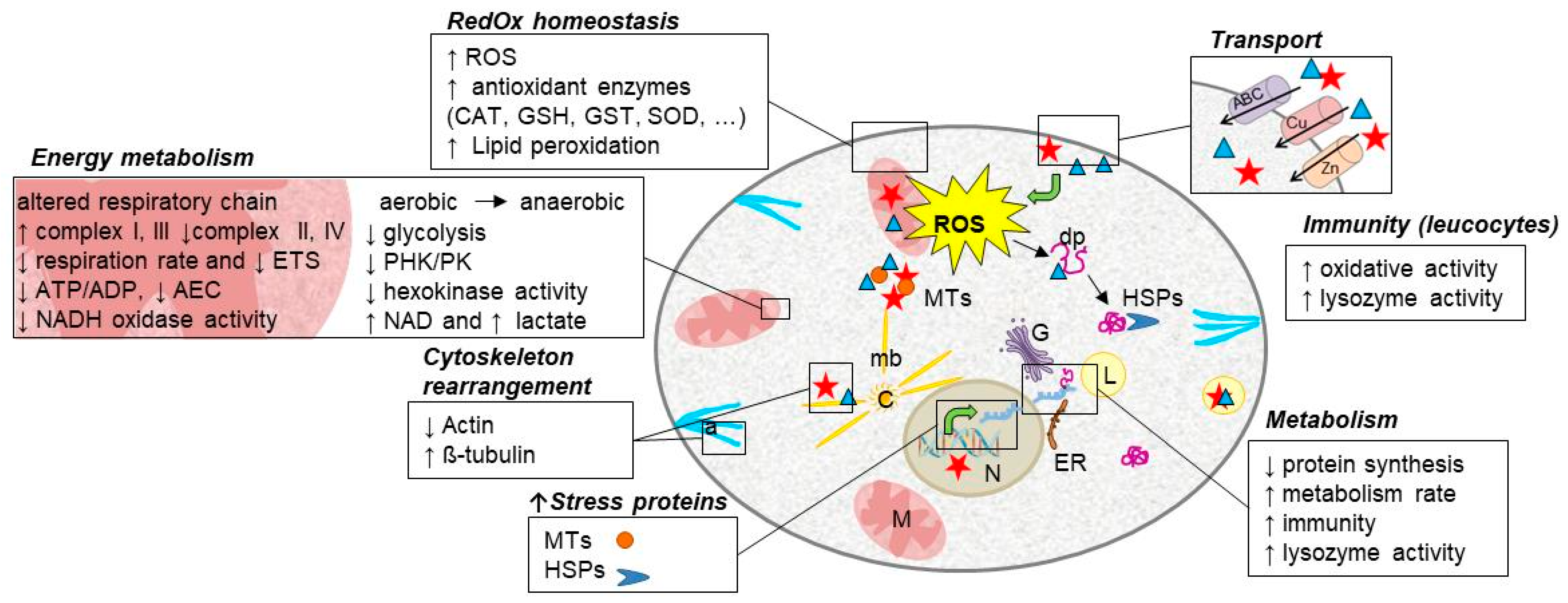 Environments 07 00046 g002