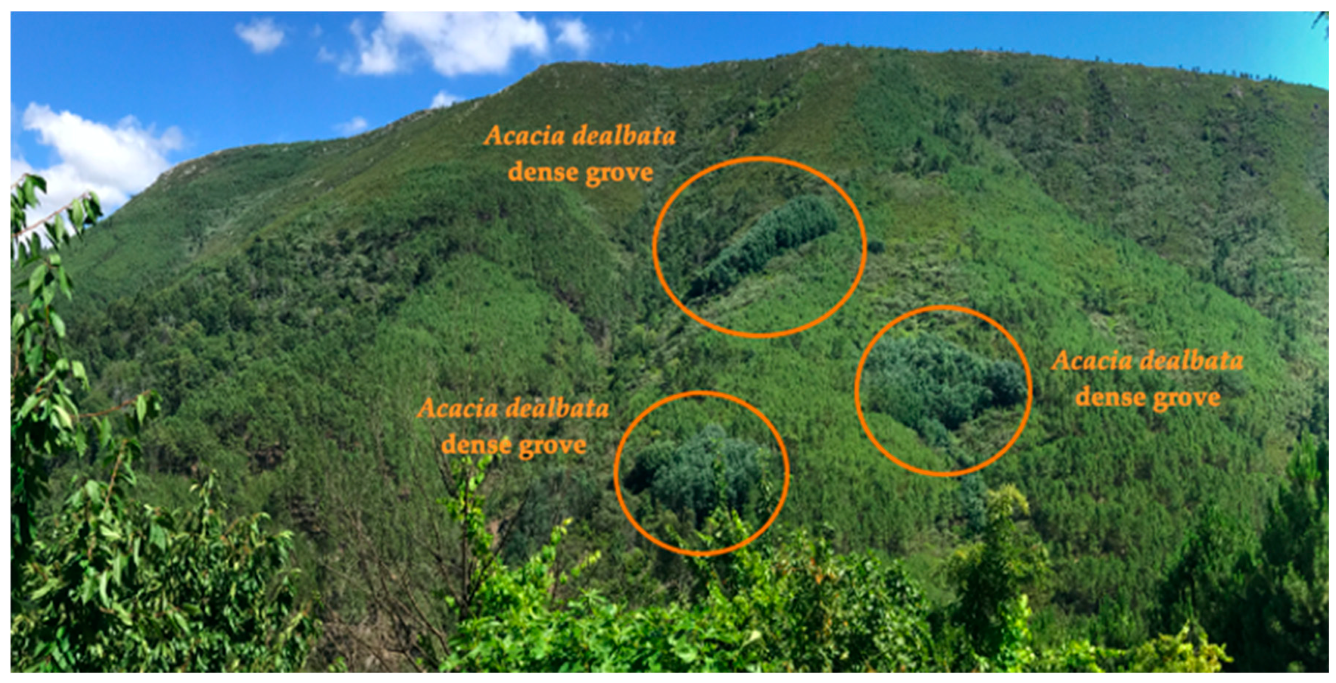 Environments 07 00057 g002