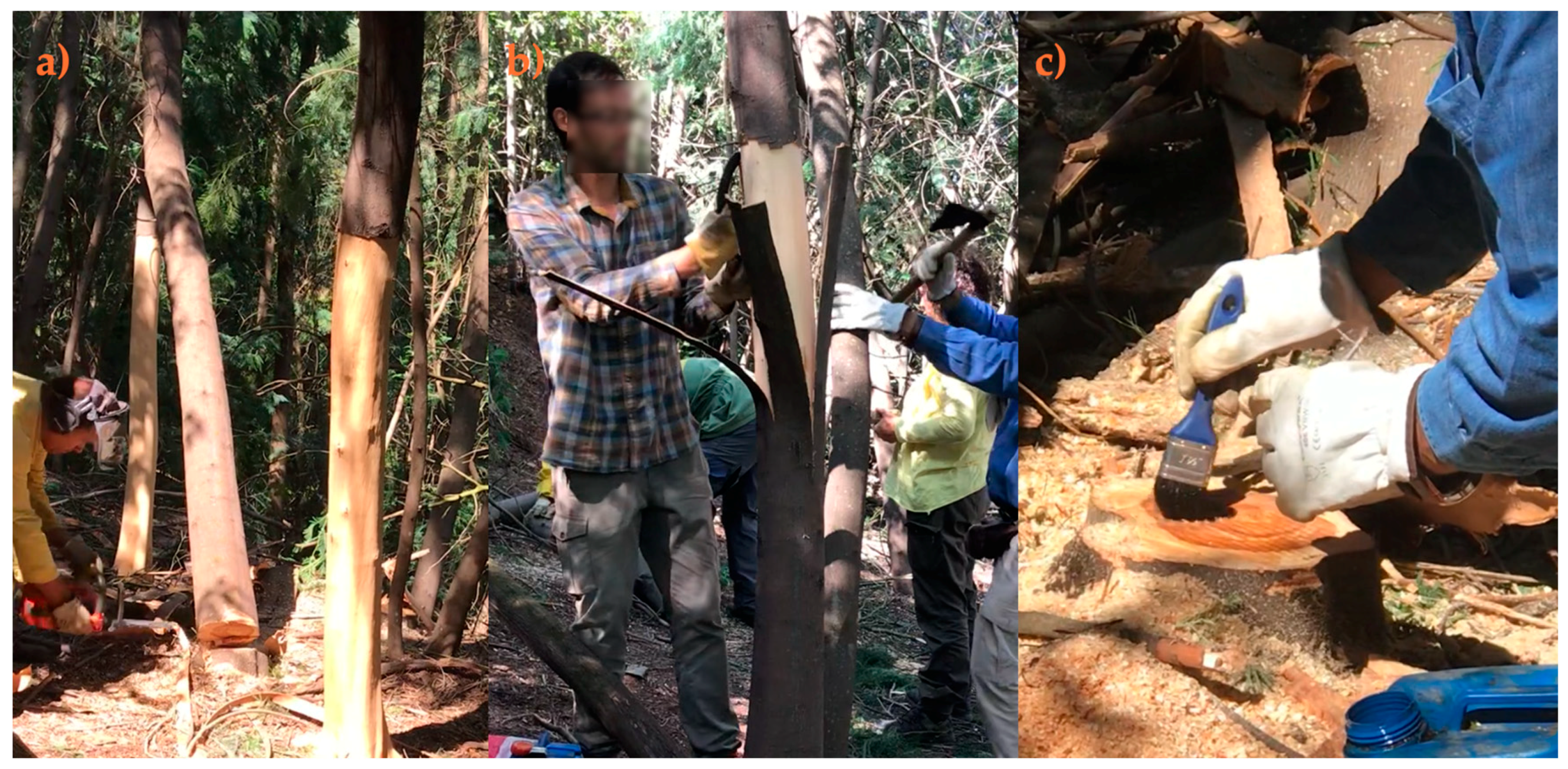 Environments 07 00057 g008