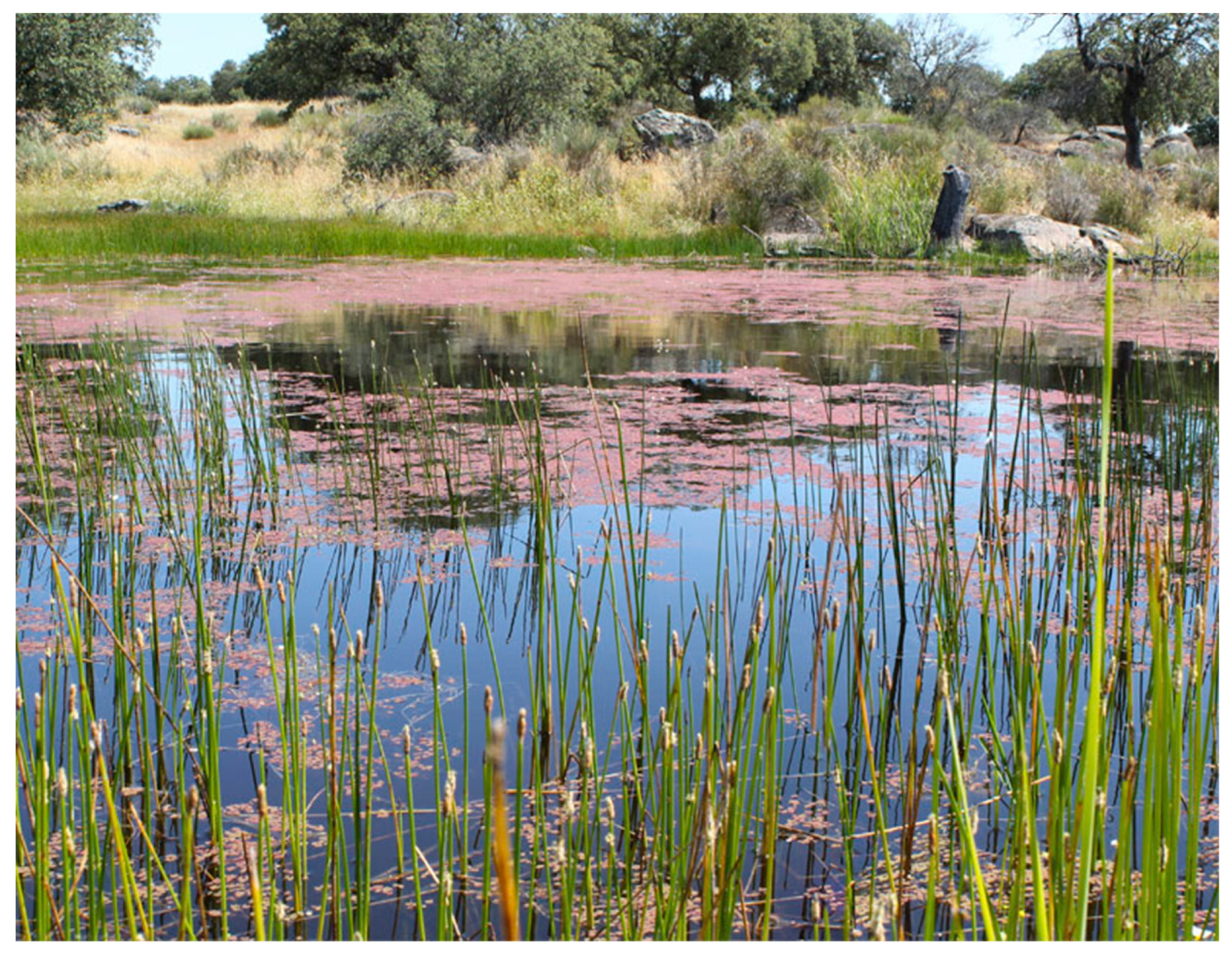 Environments 07 00063 g005 Environments 07 00063 g005