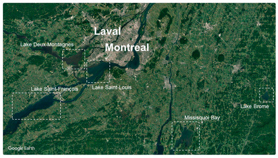 Environments 07 00077 g0a2