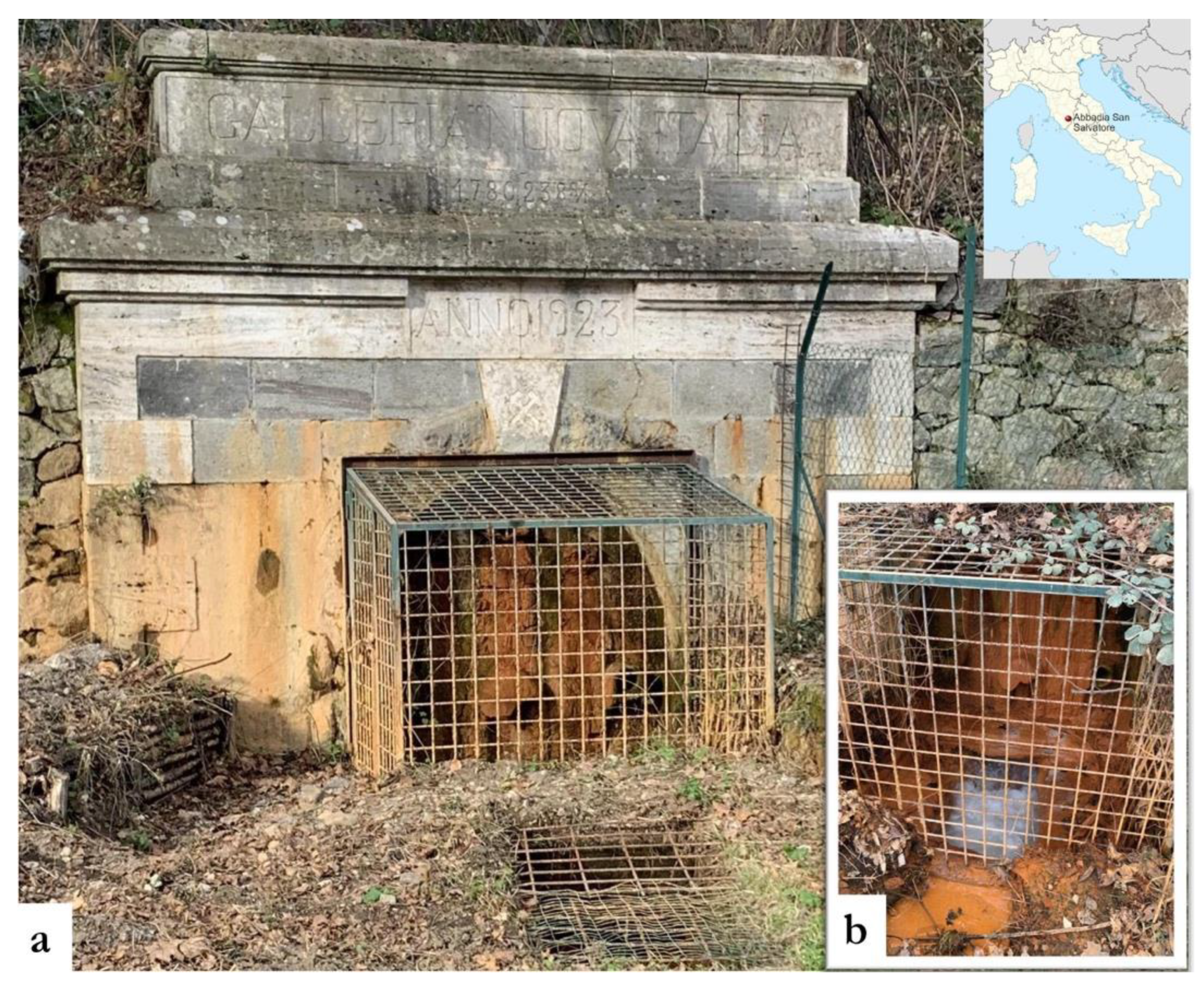 Environments 08 00015 g001