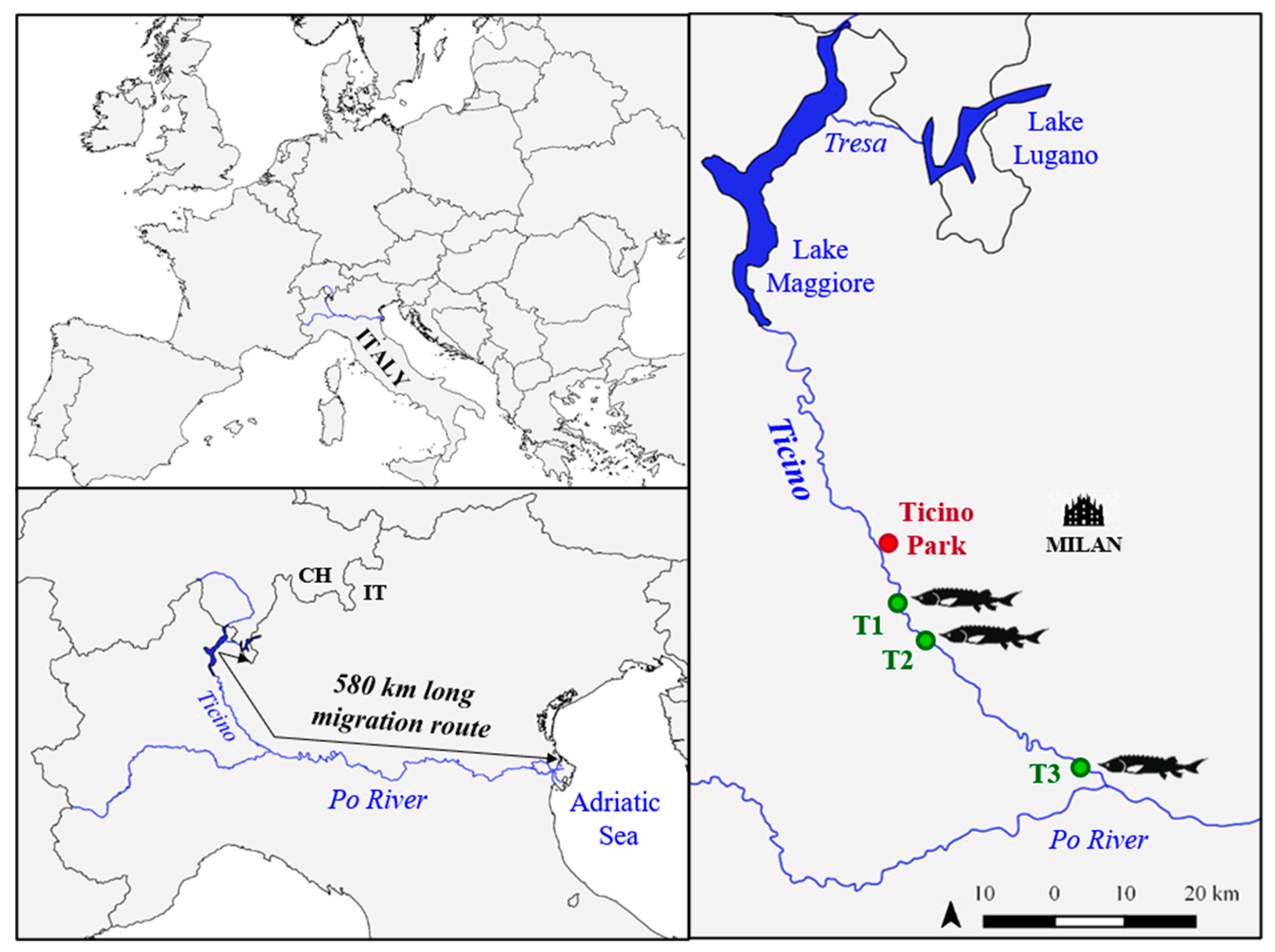 Environments 08 00025 g001