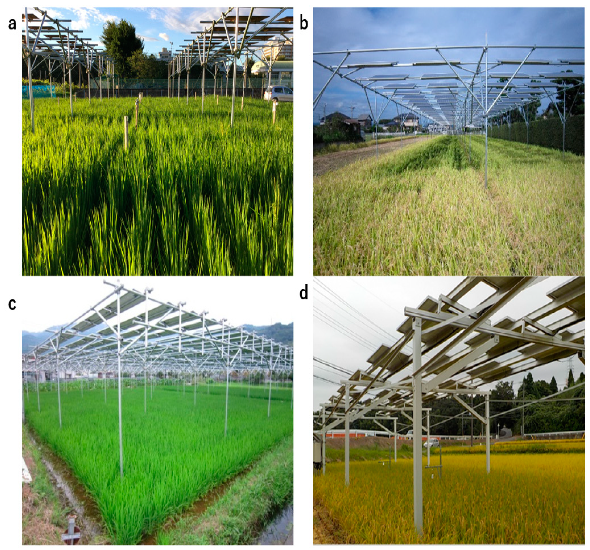 Environments 08 00065 g001