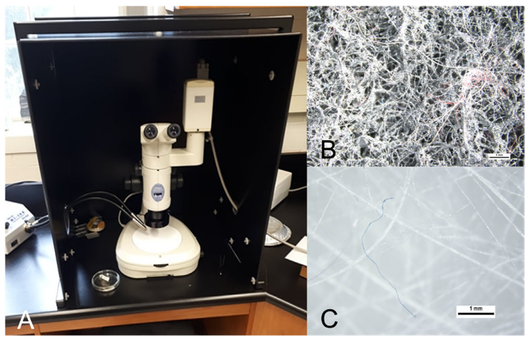 Environments 08 00089 g001