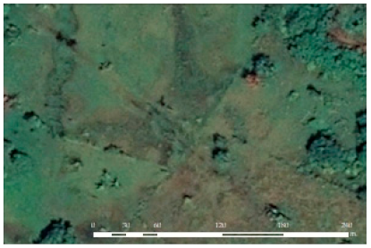 Environments 08 00139 i002