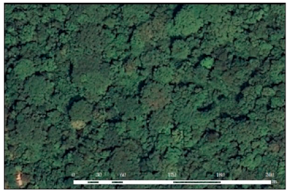 Environments 08 00139 i003