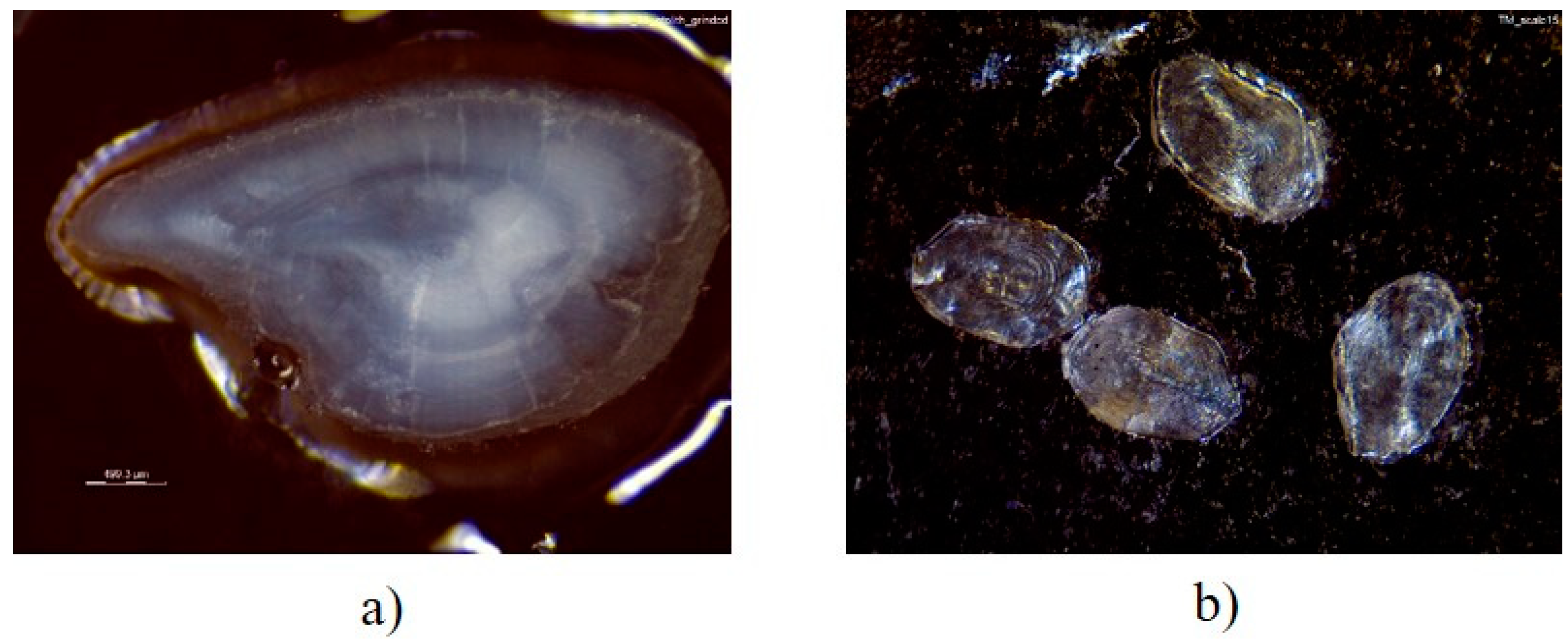 Environments 09 00014 g002