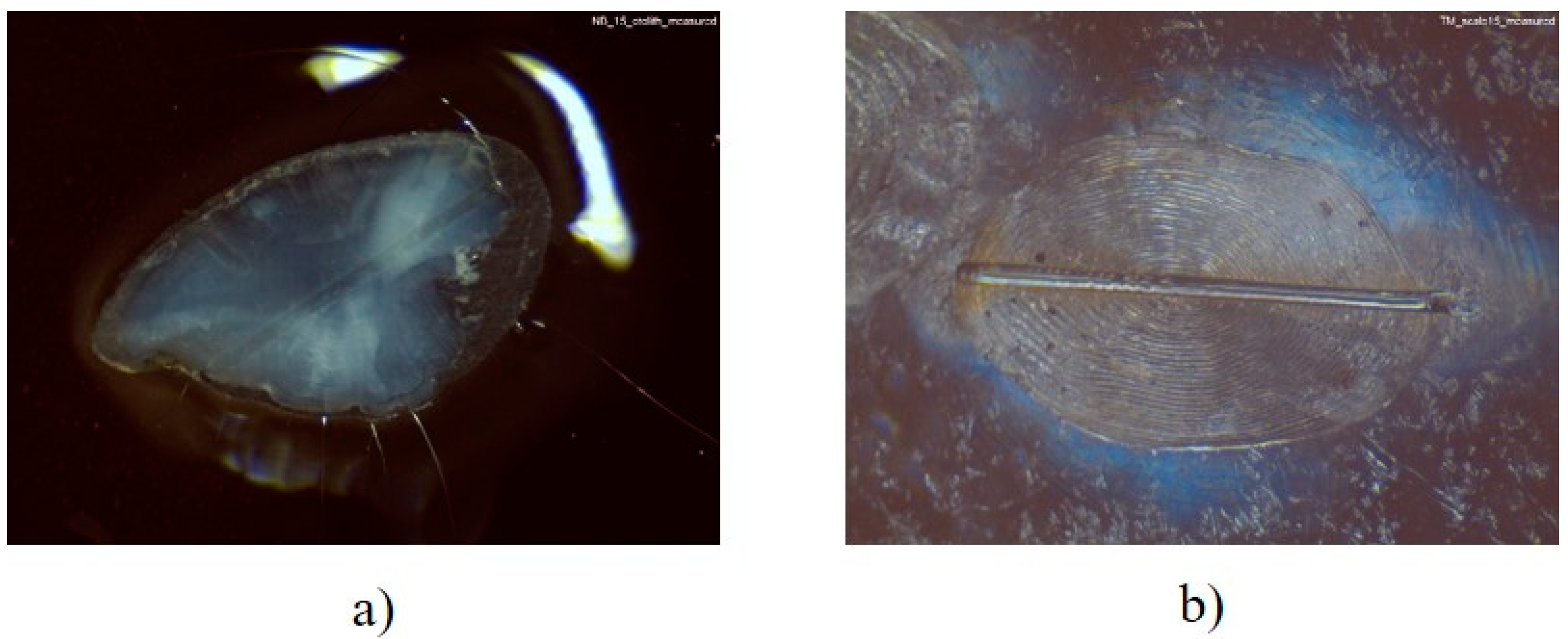 Environments 09 00014 g003