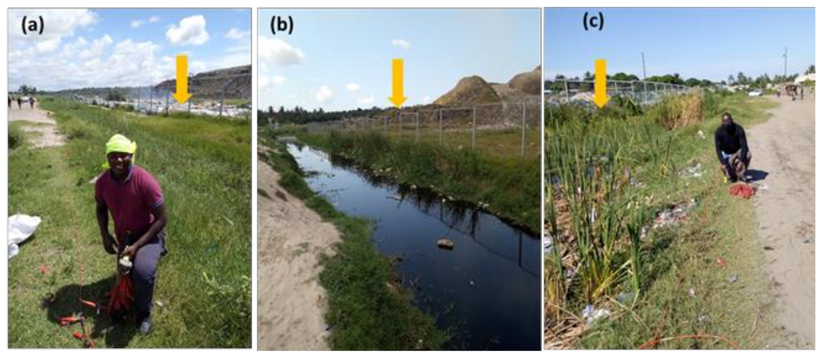 Environments 09 00019 g003