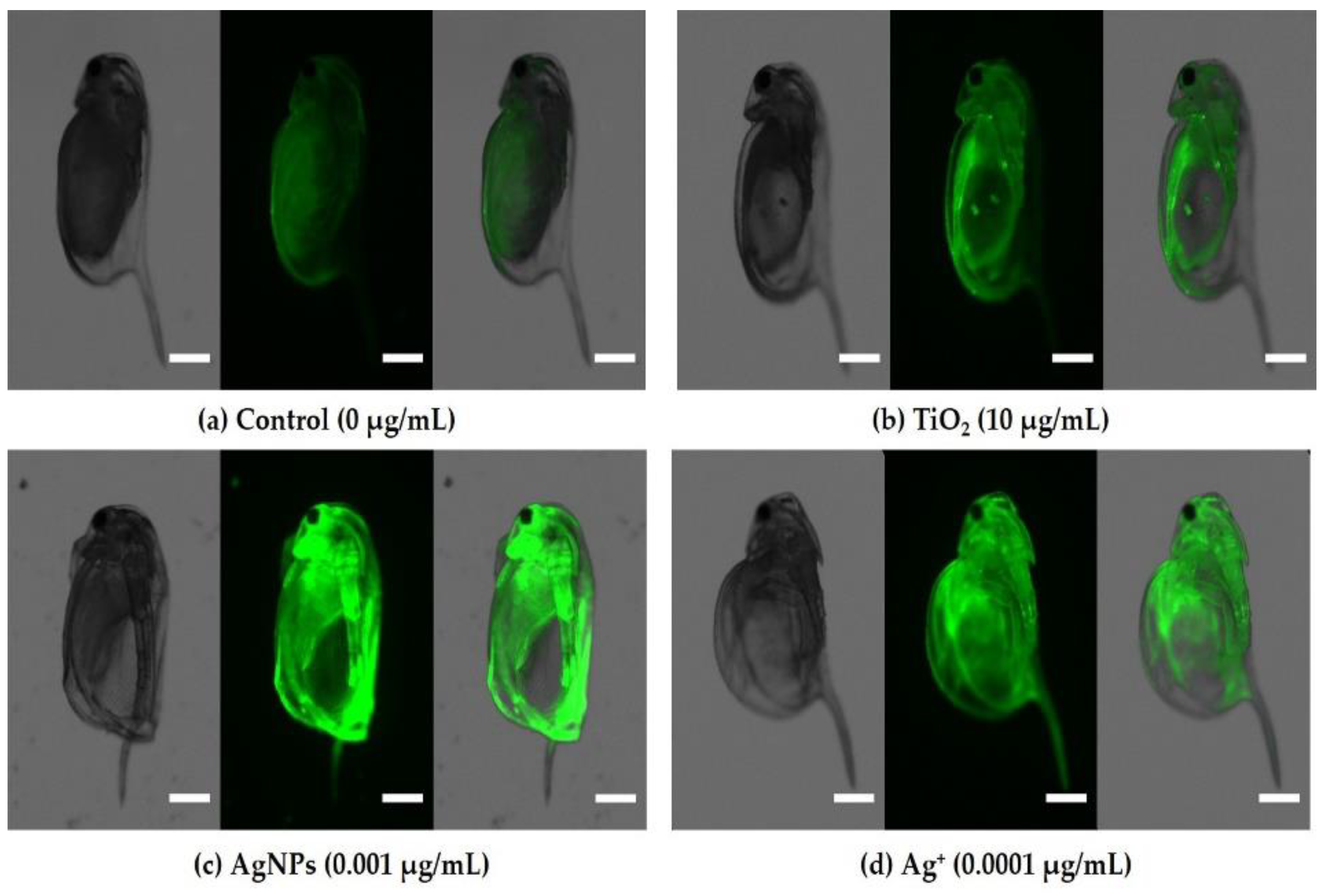 Environments 09 00026 g006