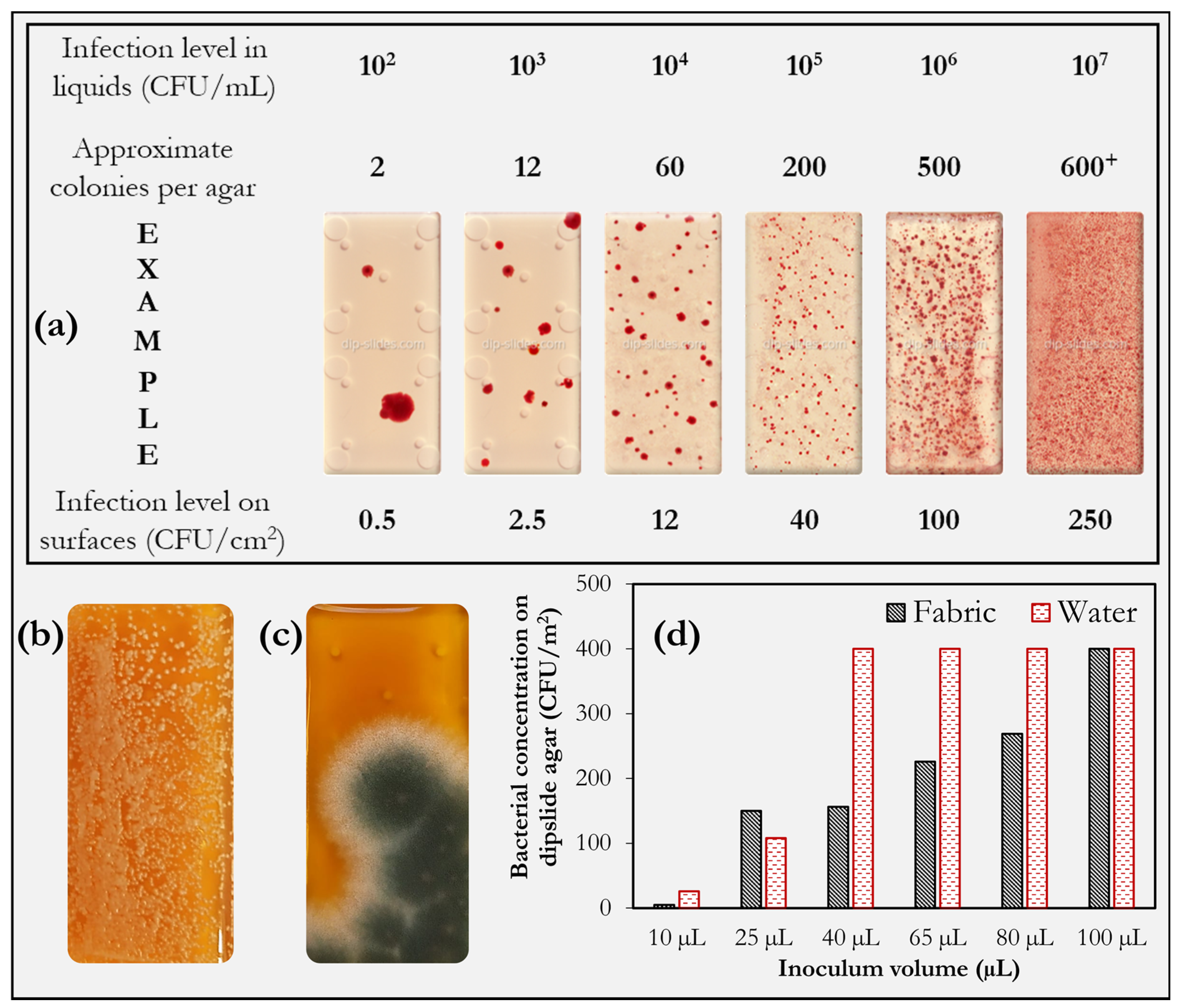 Environments 09 00045 g009