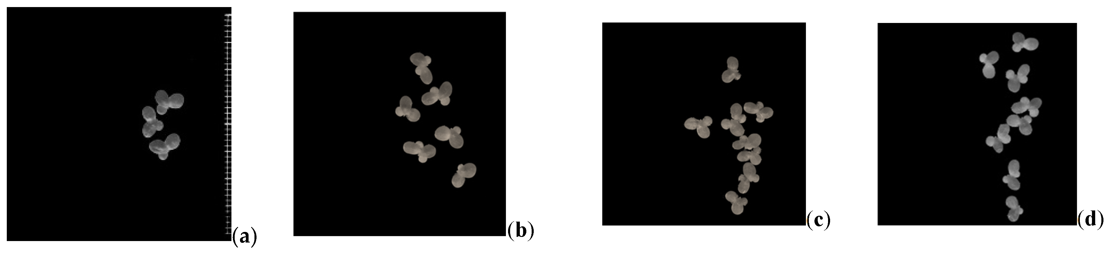 Environments 09 00051 g003