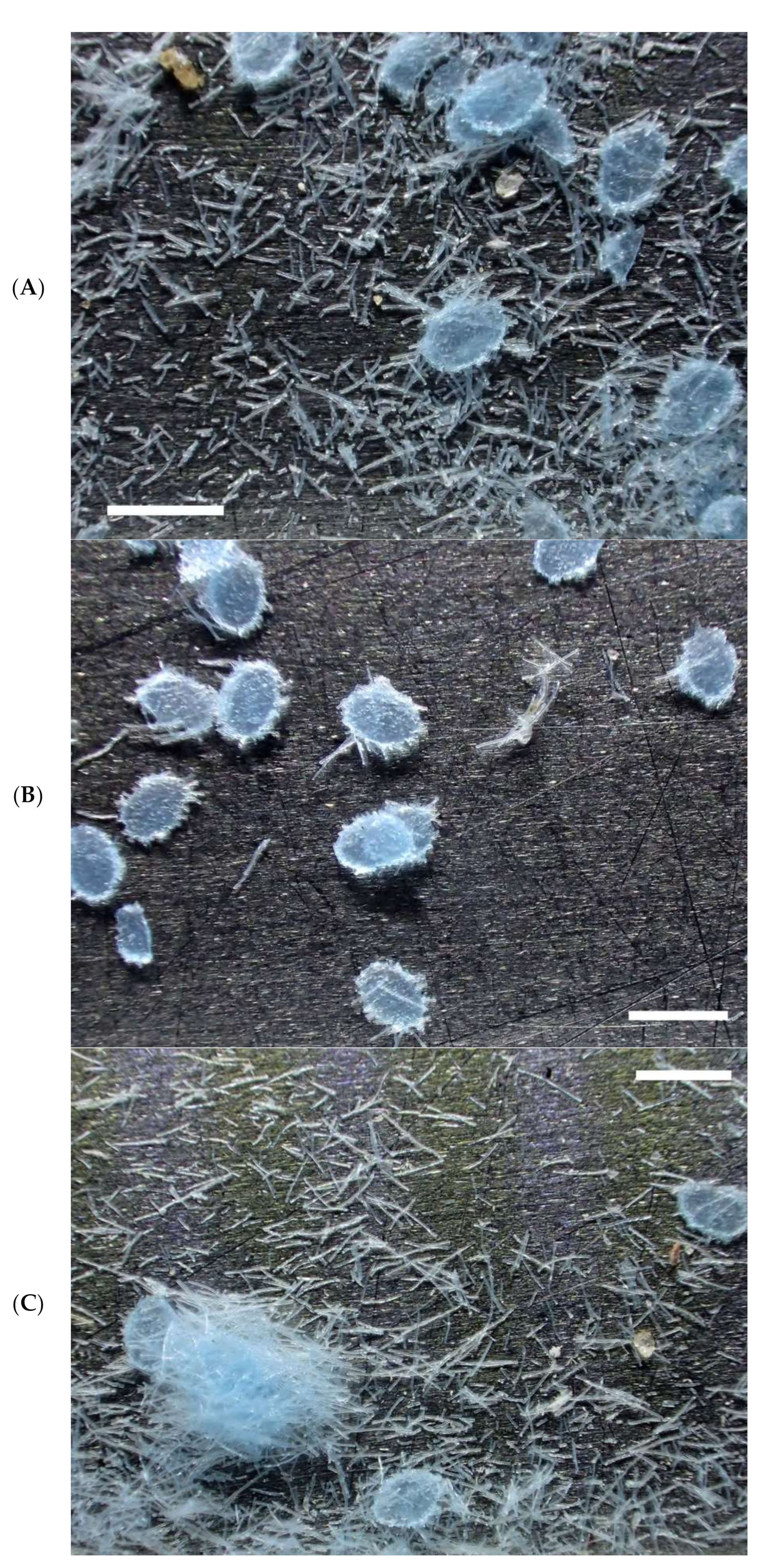 Environments 09 00094 g013