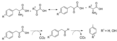Environments 09 00102 i003