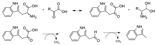 Environments 09 00102 i004