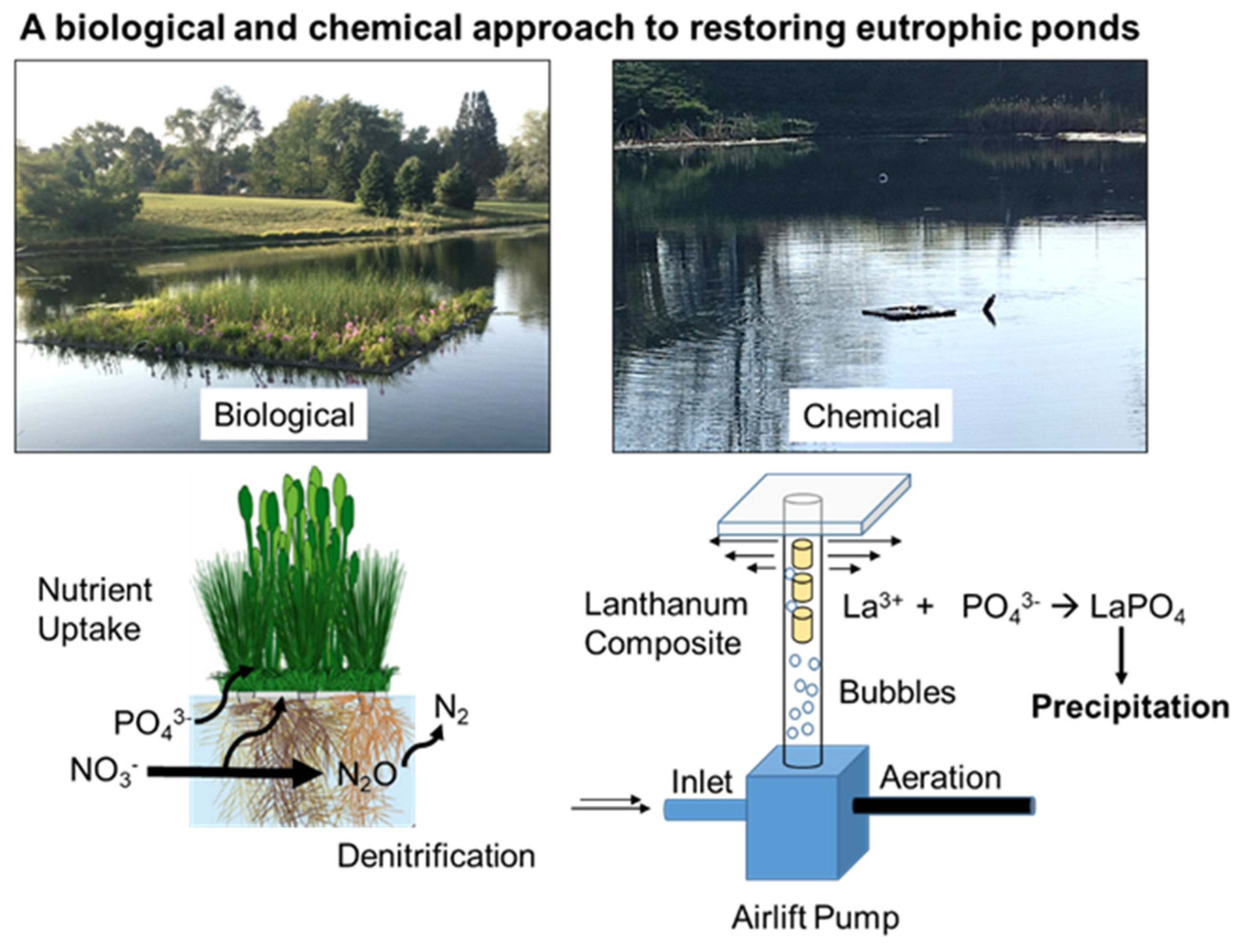 Environments 10 00020 g001