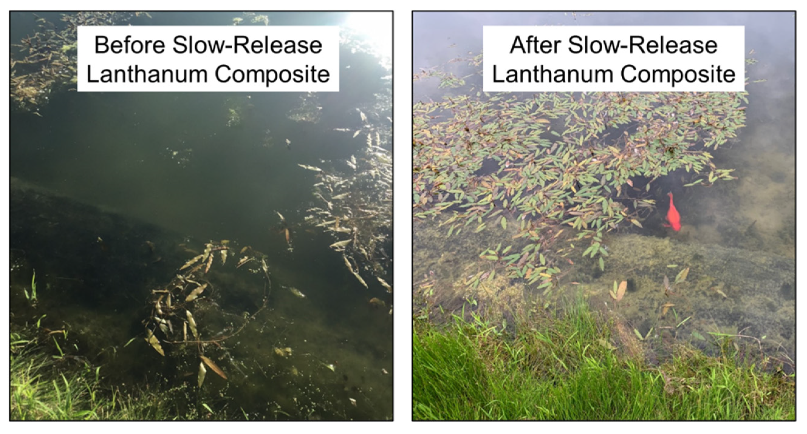 Environments 10 00020 g005