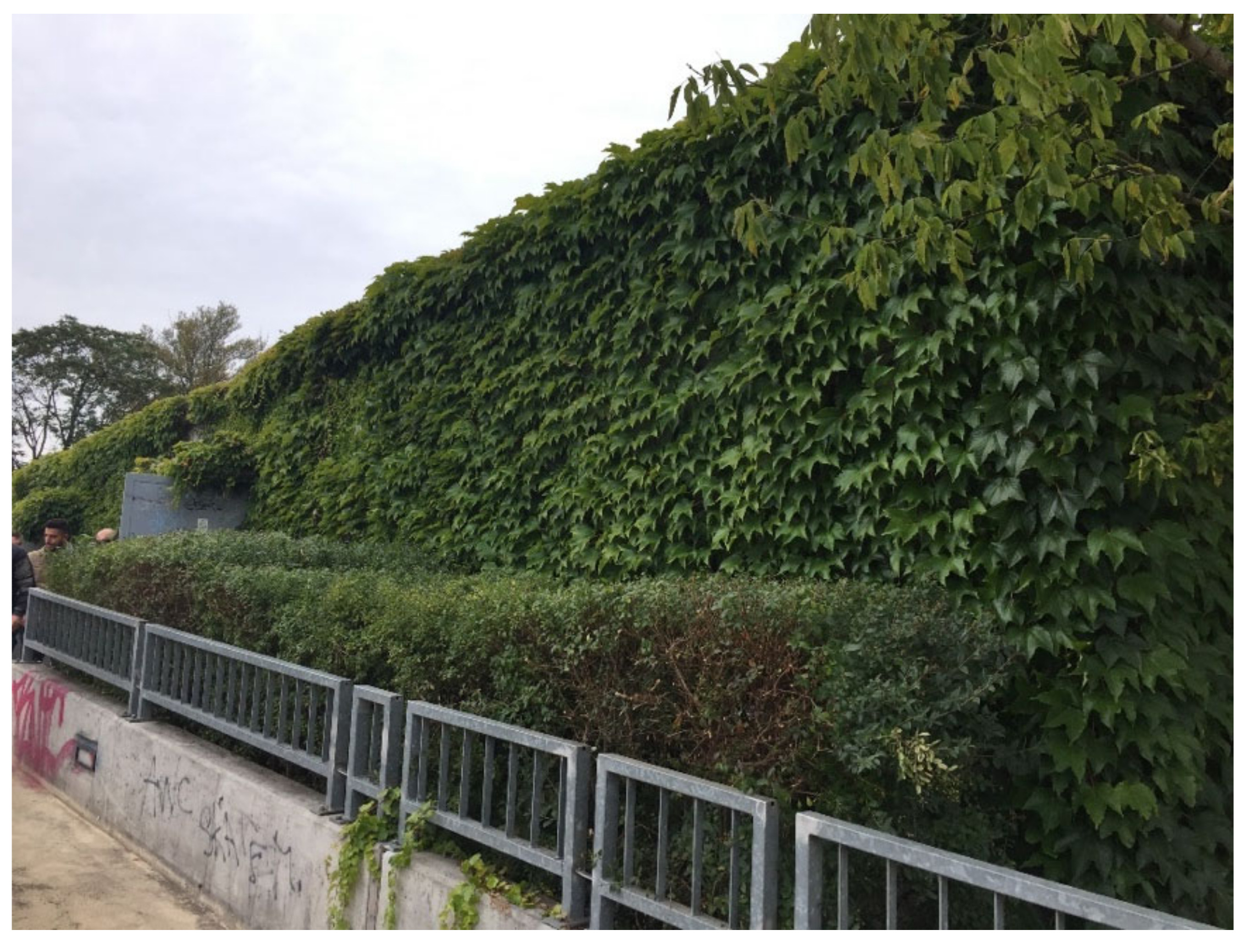 Environments 10 00026 g001