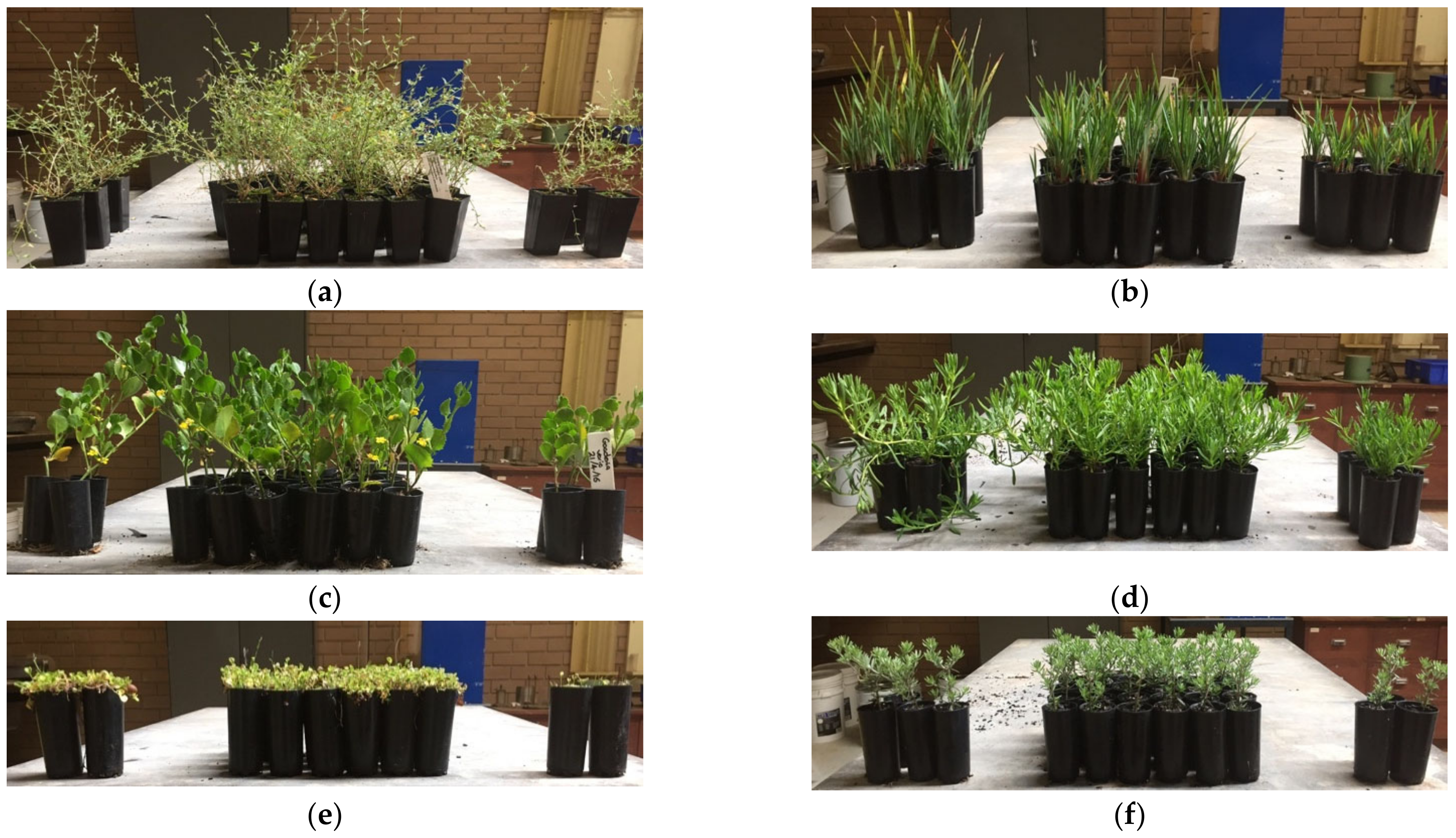 Environments 10 00026 g003