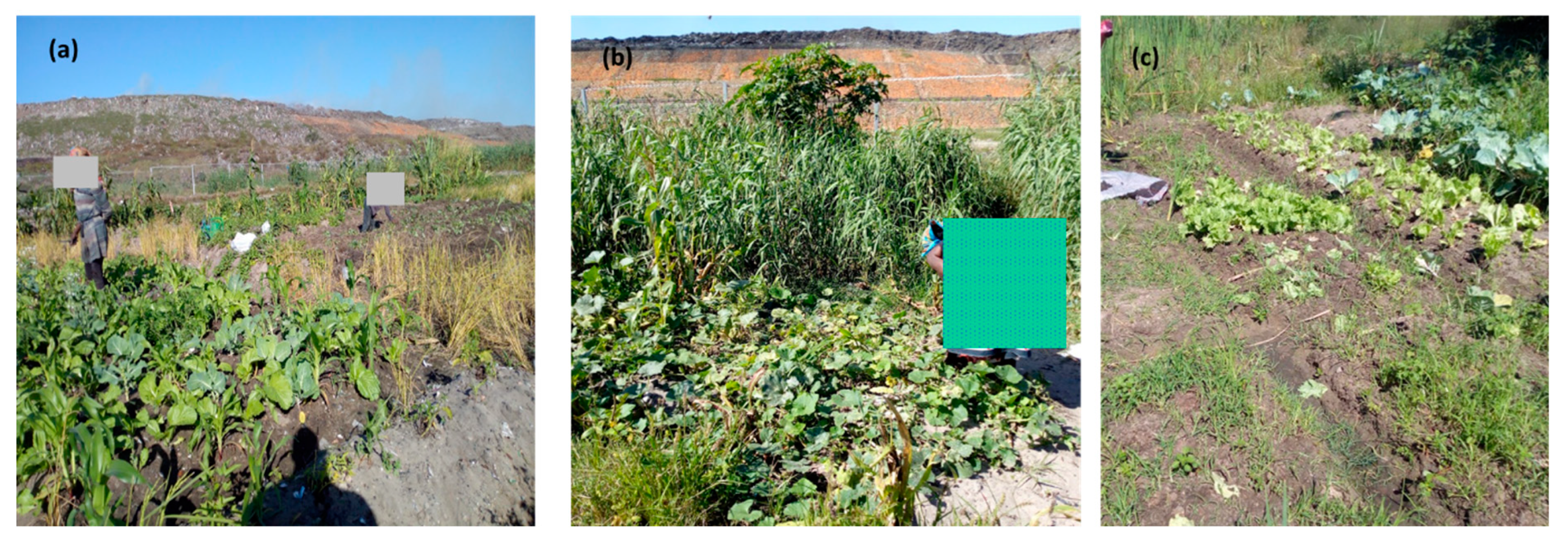 Environments 10 00045 g002 Environments 10 00045 g002