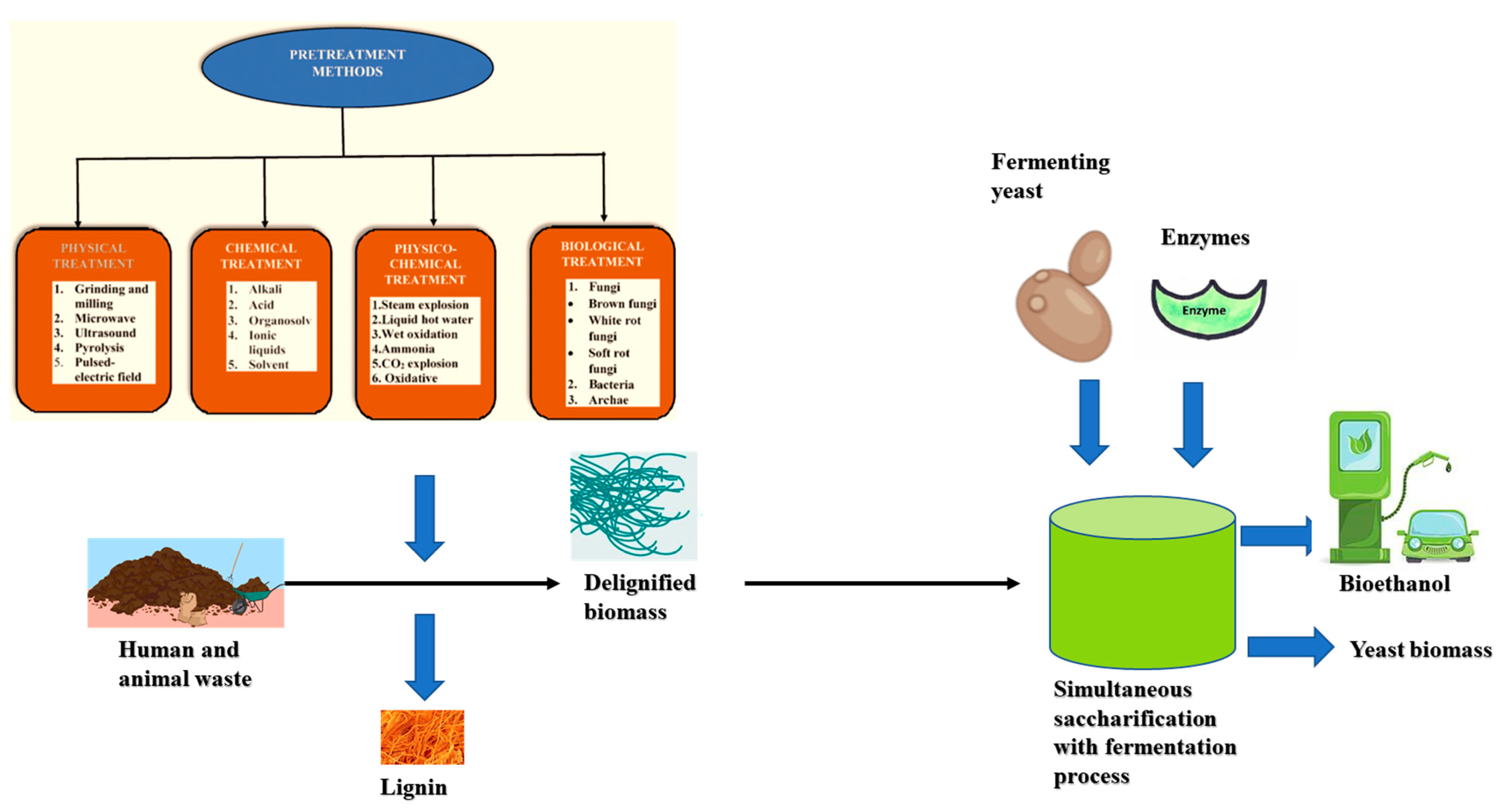 Environments 10 00046 g009