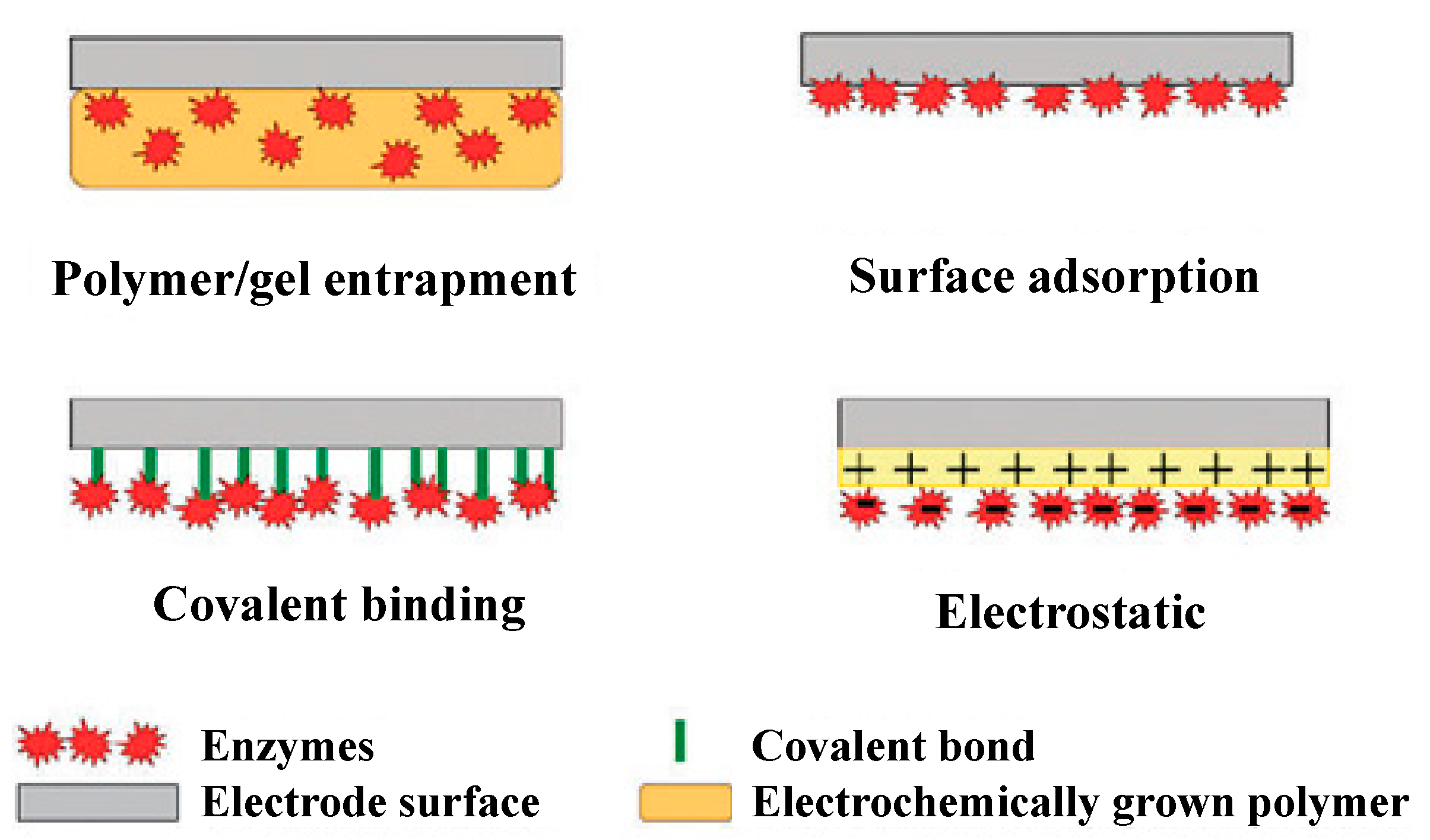 Environments 10 00063 g002