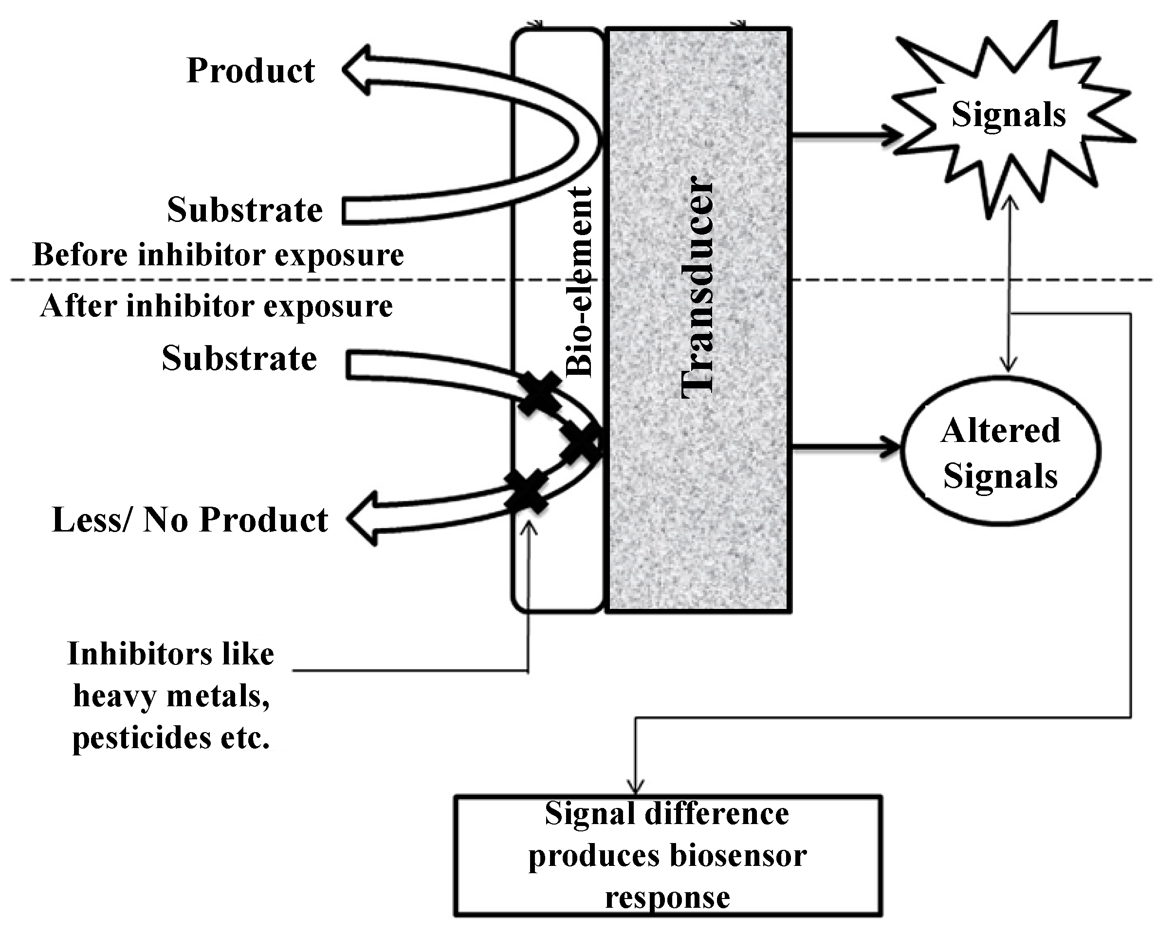 Environments 10 00063 g003