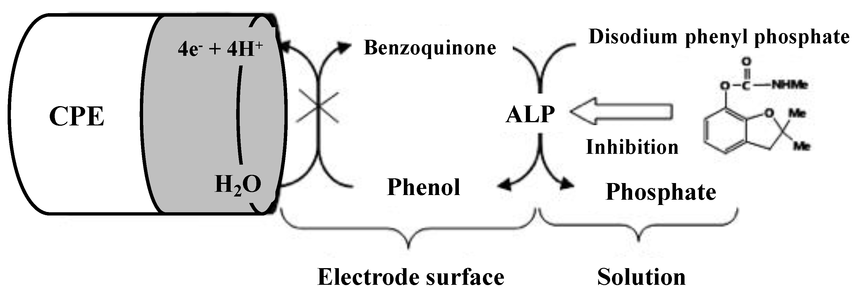 Environments 10 00063 g005