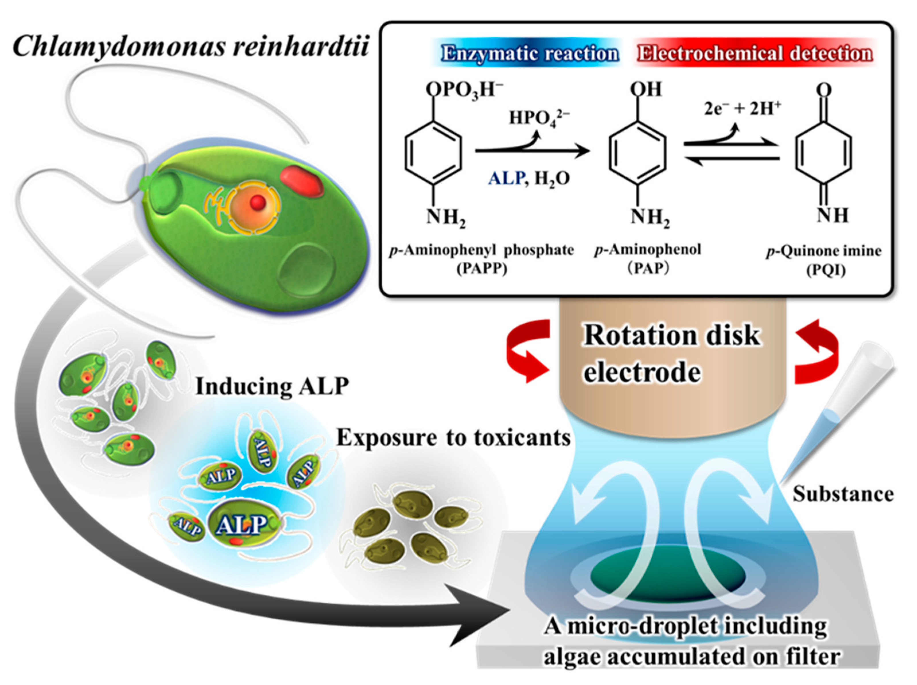Environments 10 00063 g008