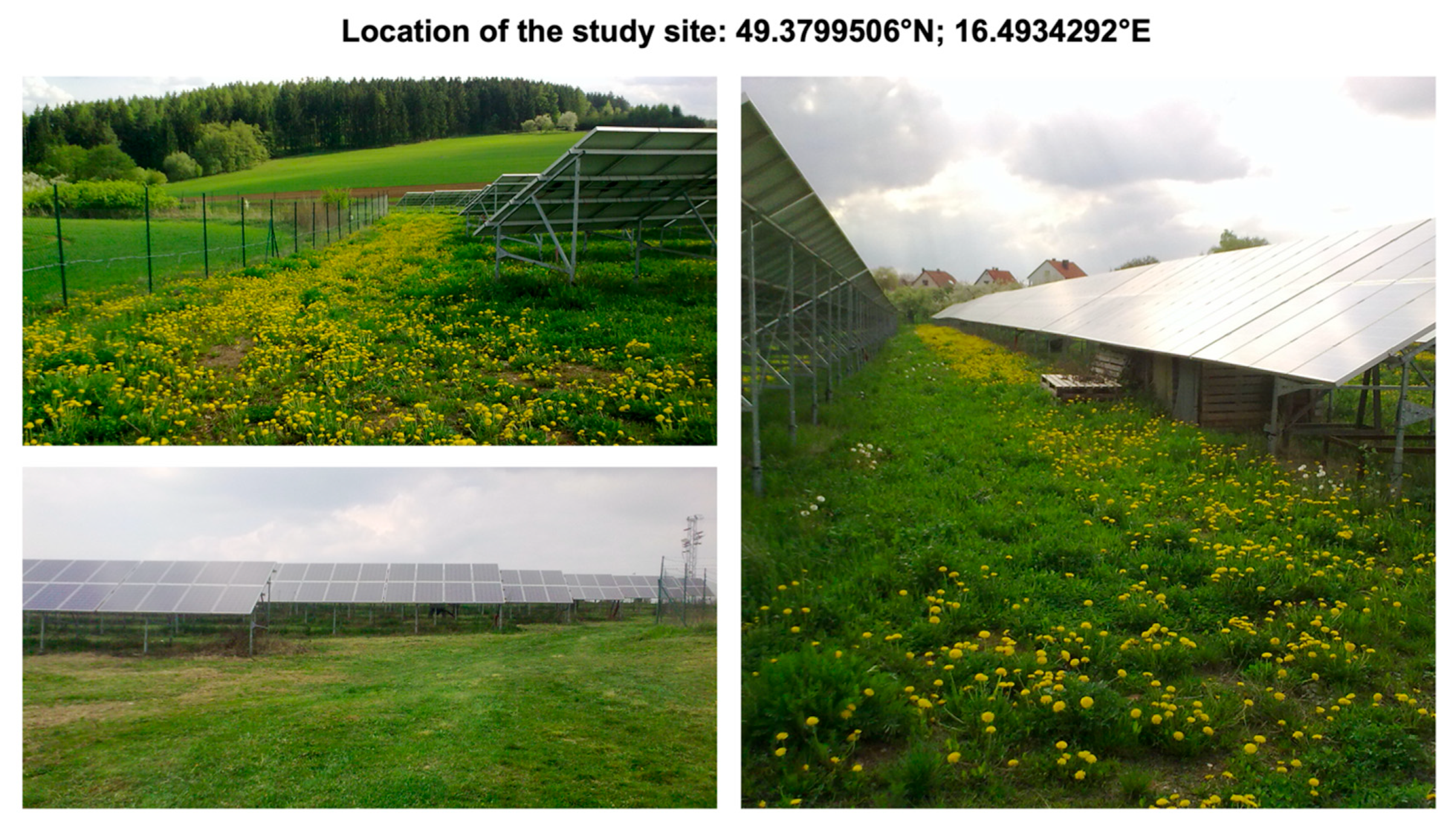 Environments 10 00086 g001