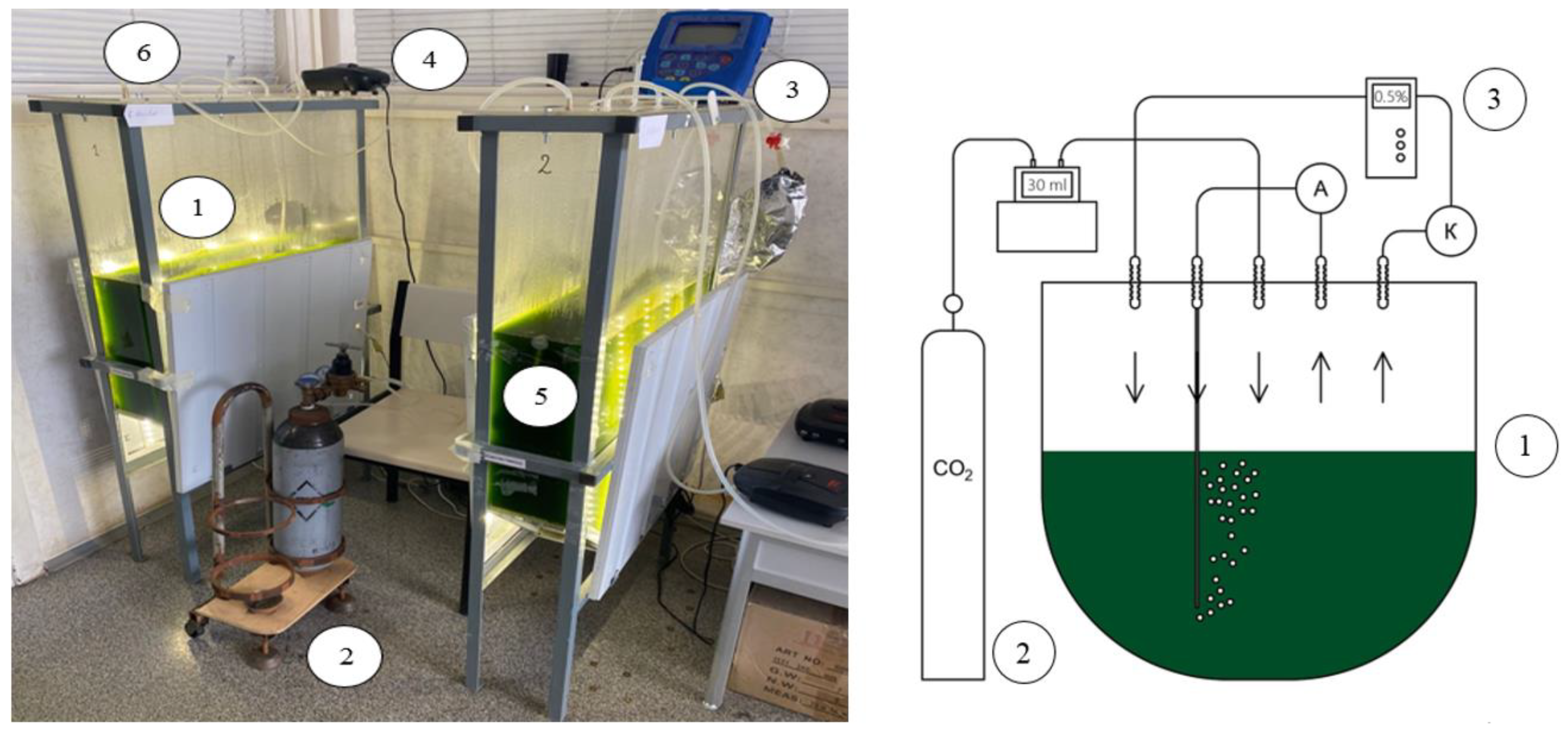 Environments 10 00109 g002