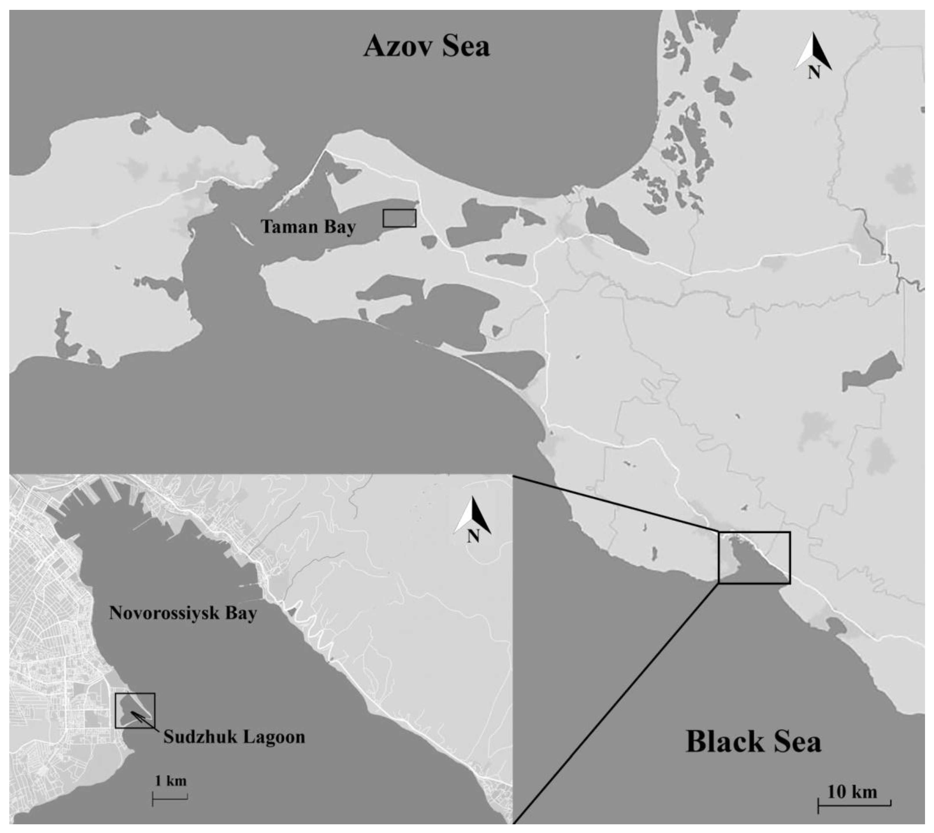 Environments 10 00154 g001