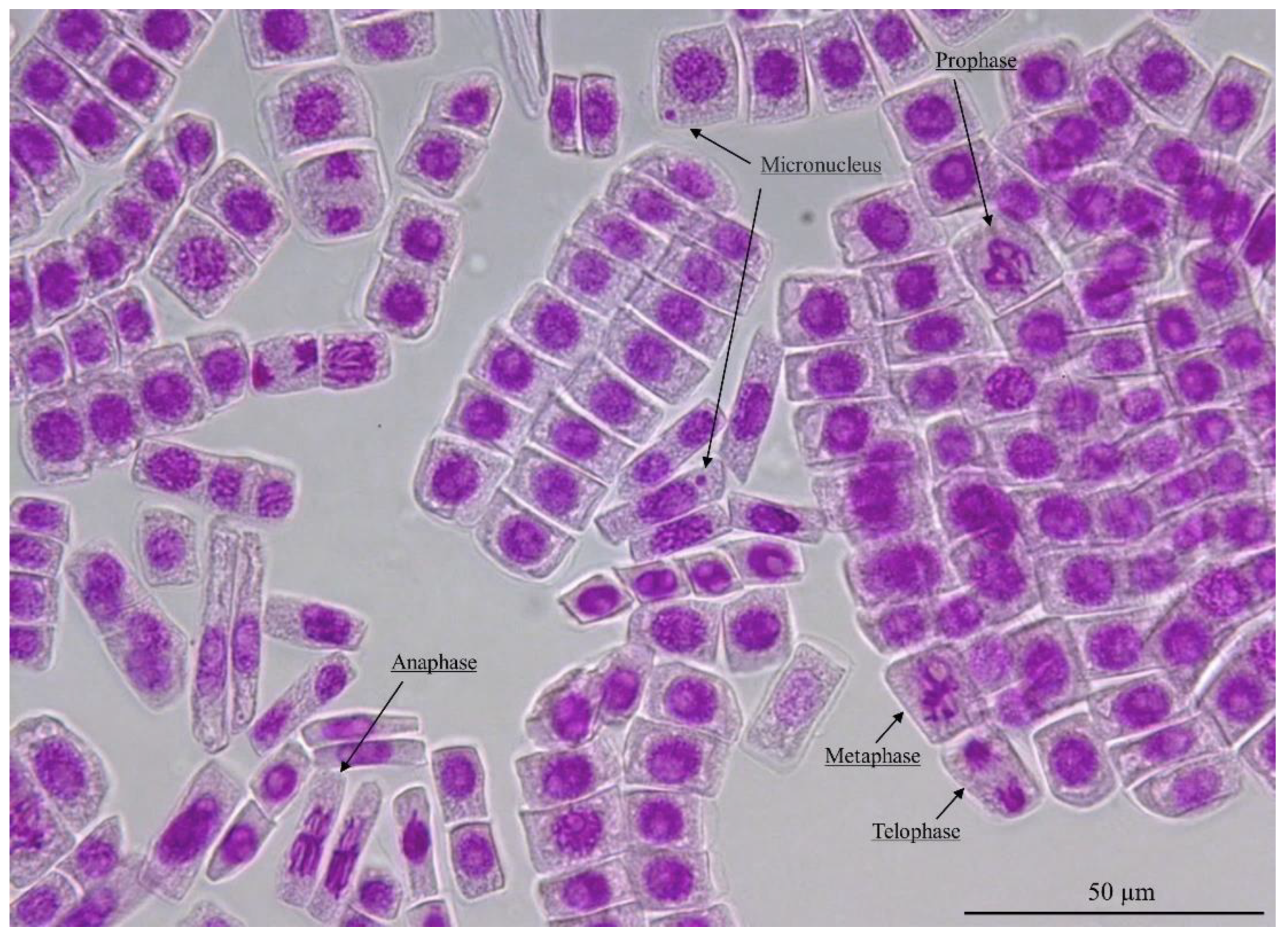 Environments 10 00195 g004