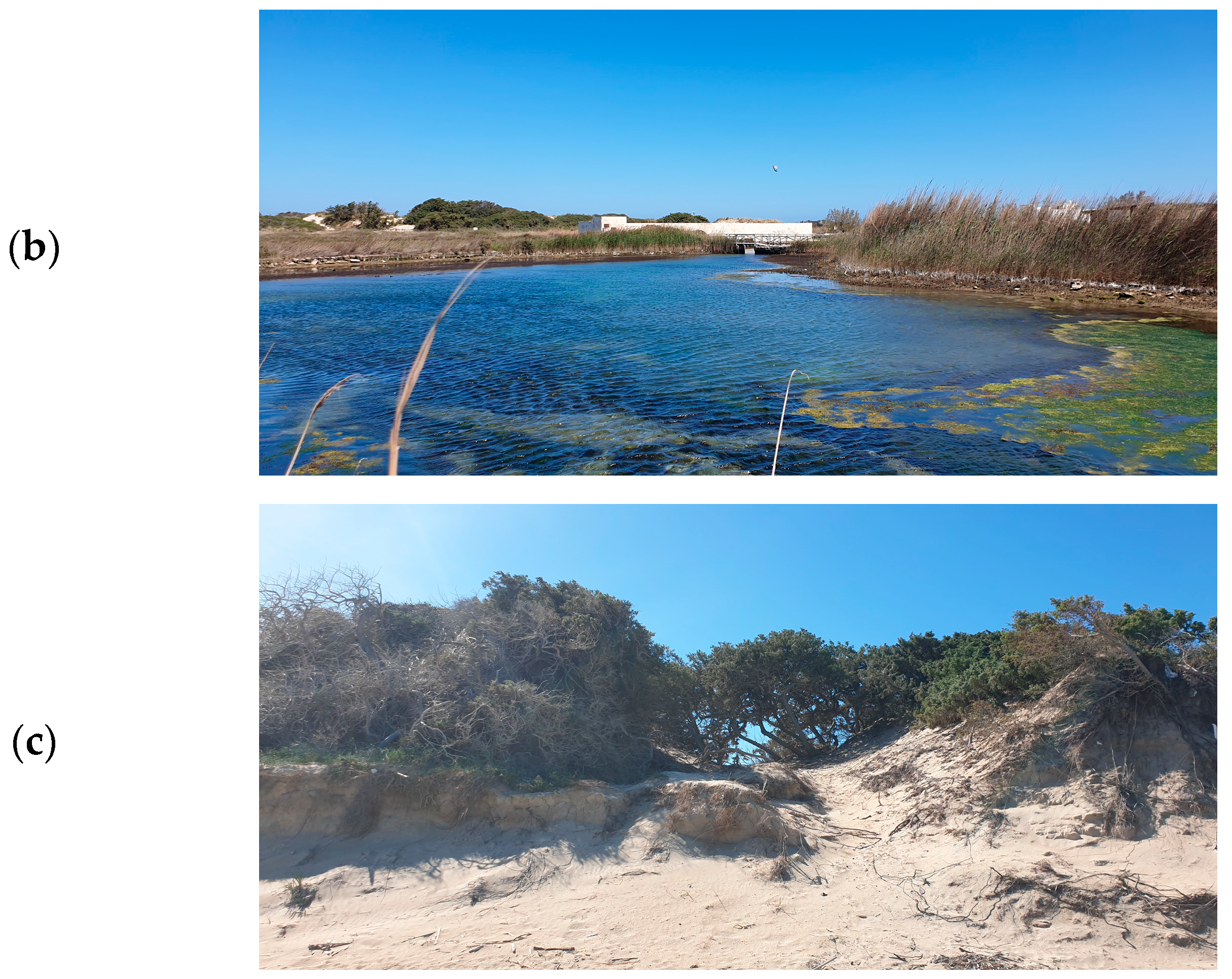 Environments 10 00211 g001b